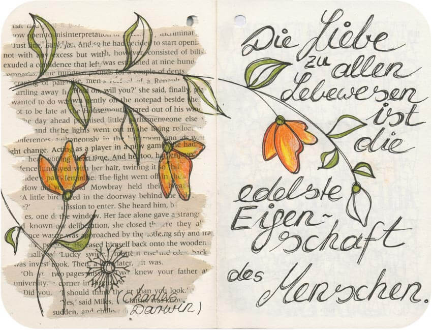 Titelbild von Sketchbook 00080