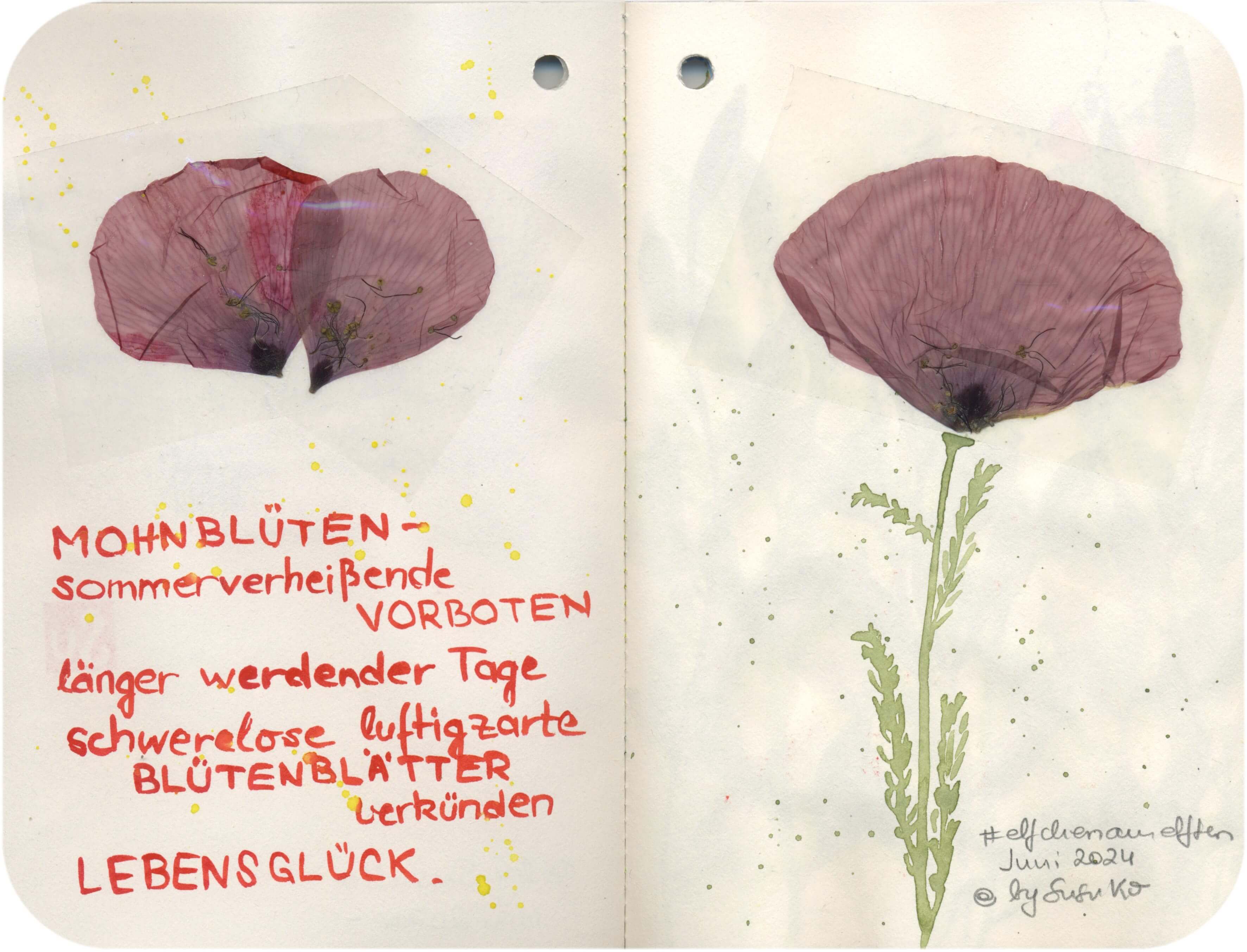 Titelbild von Sketchbook 00271