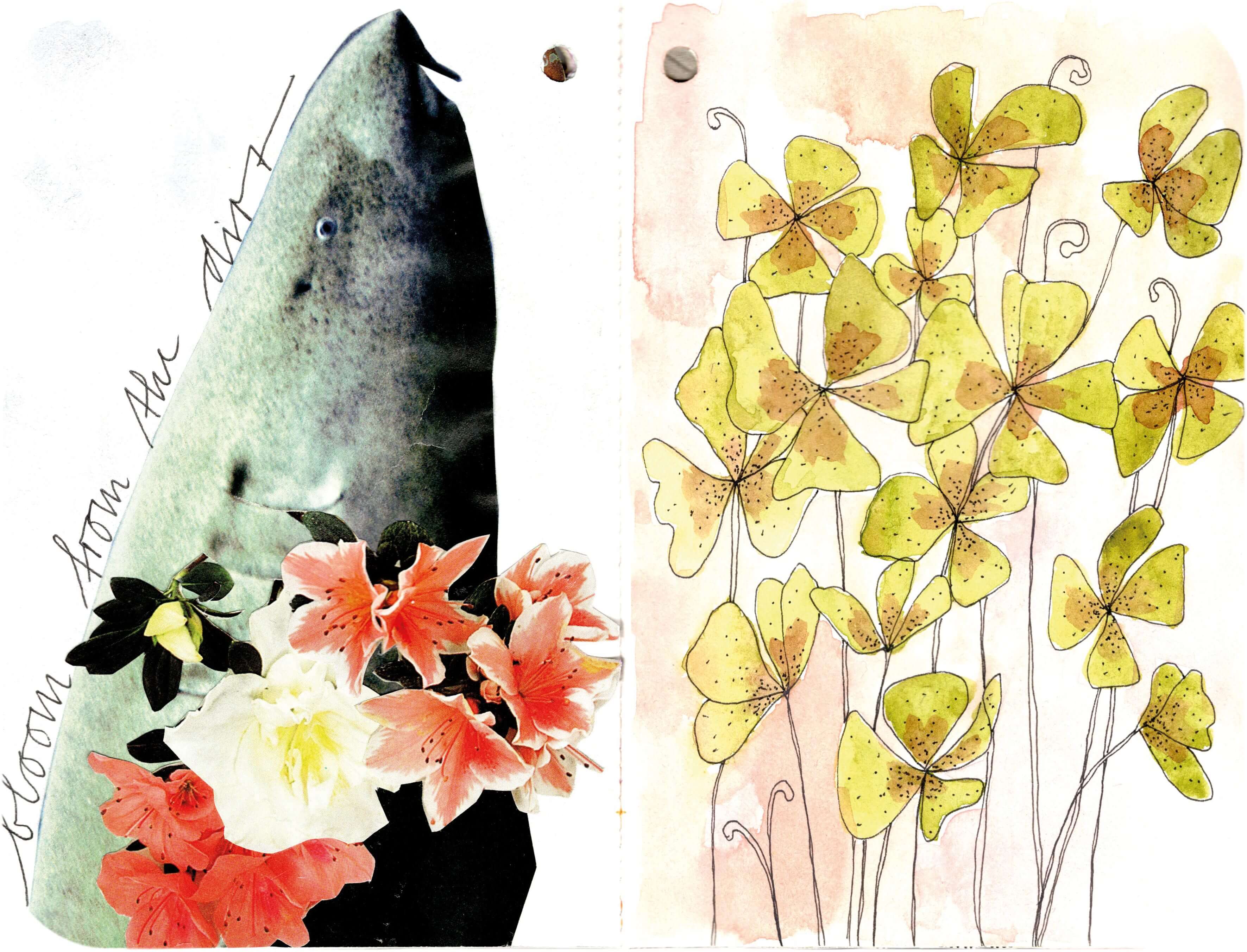 Titelbild von Sketchbook 00293