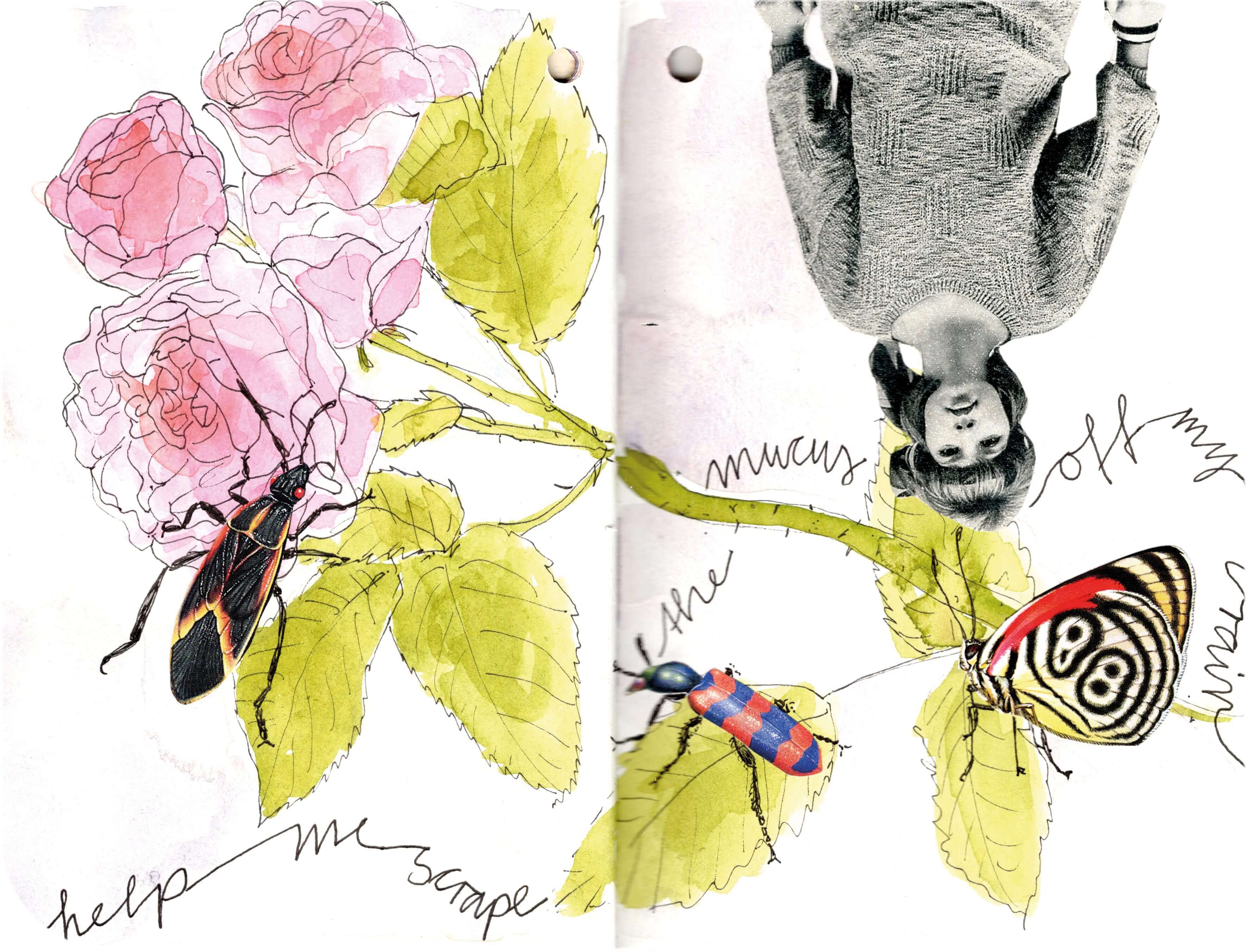 Titelbild von Sketchbook 00293