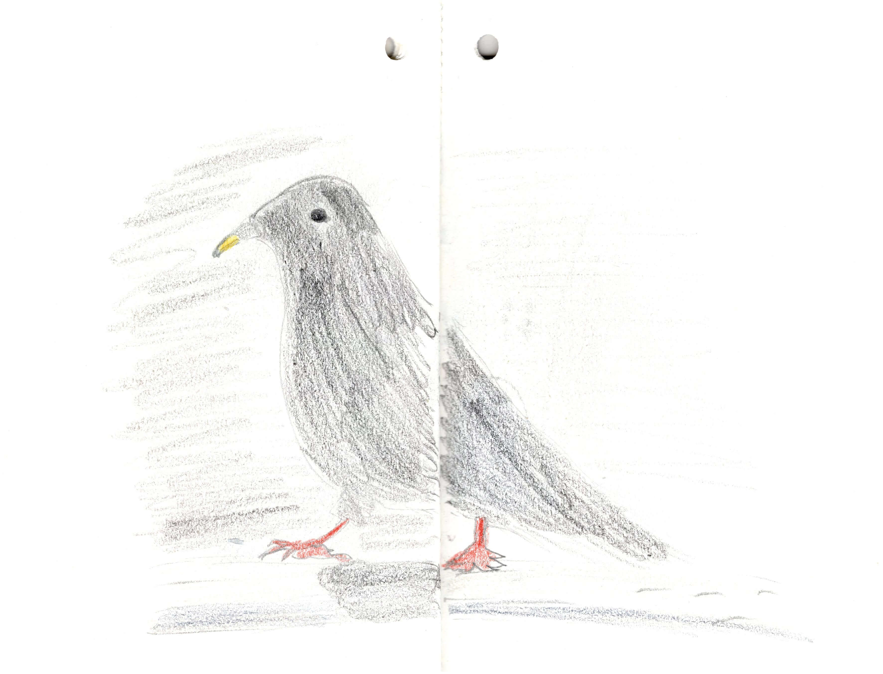 Titelbild von Sketchbook 00296