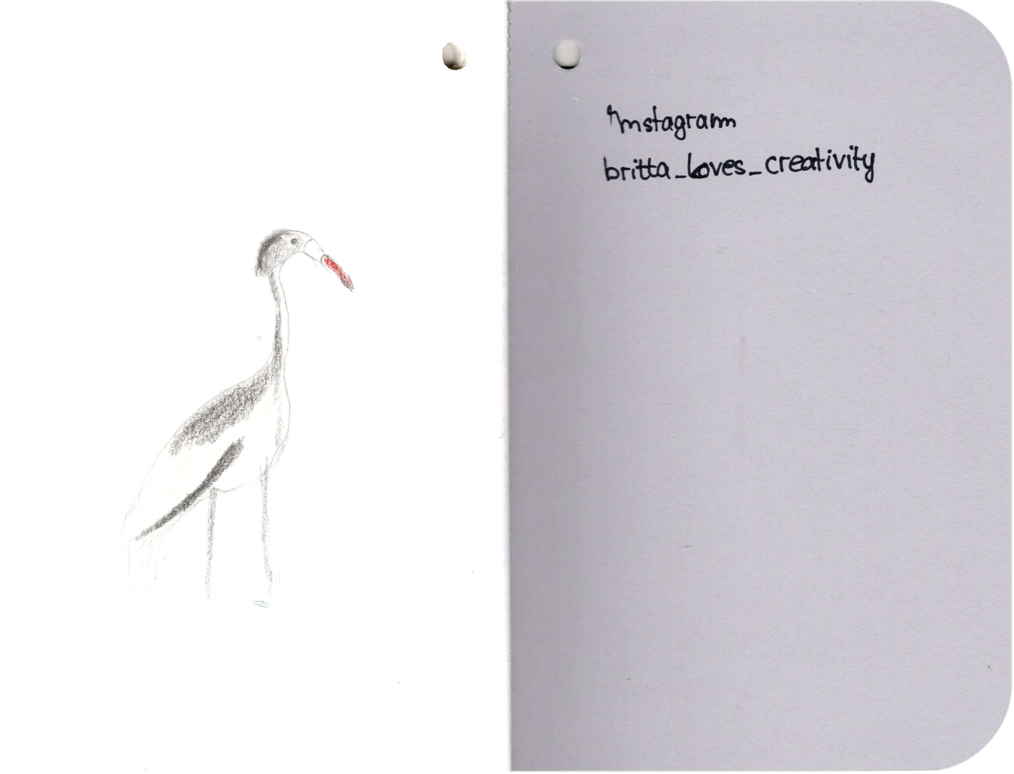 Titelbild von Sketchbook 00296