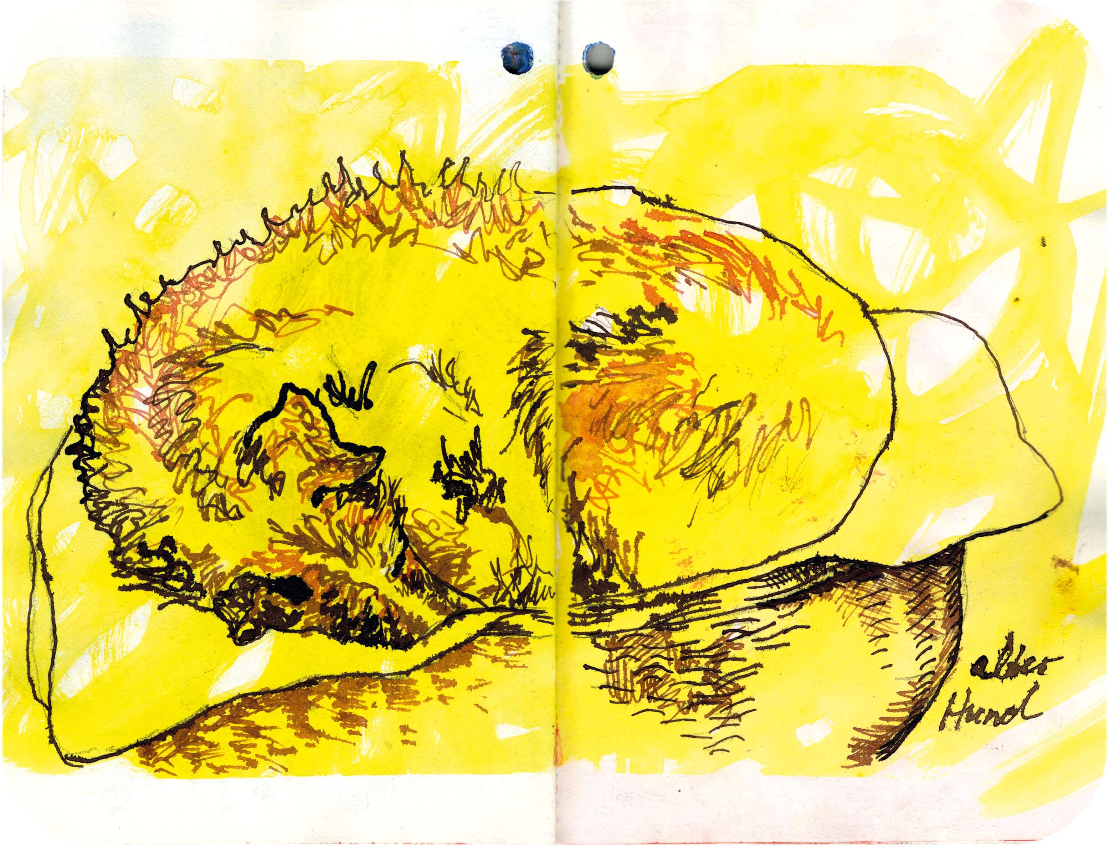 Titelbild von Sketchbook 00309