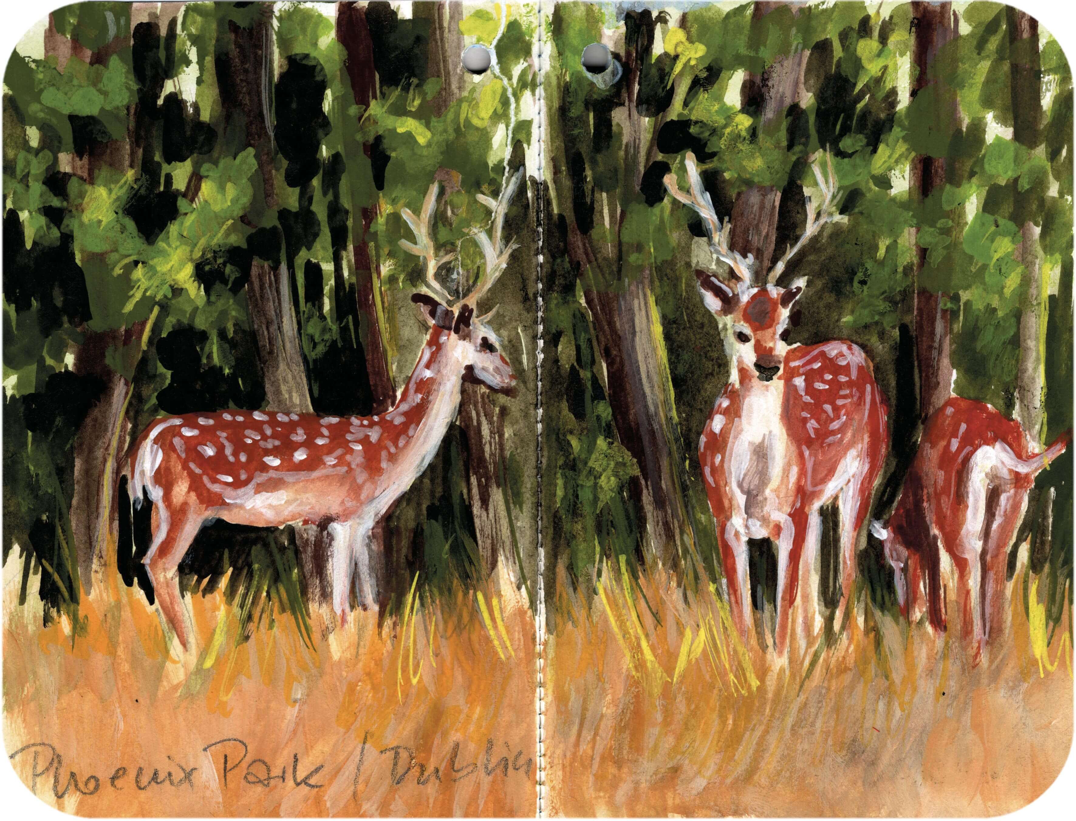Titelbild von Sketchbook 00310