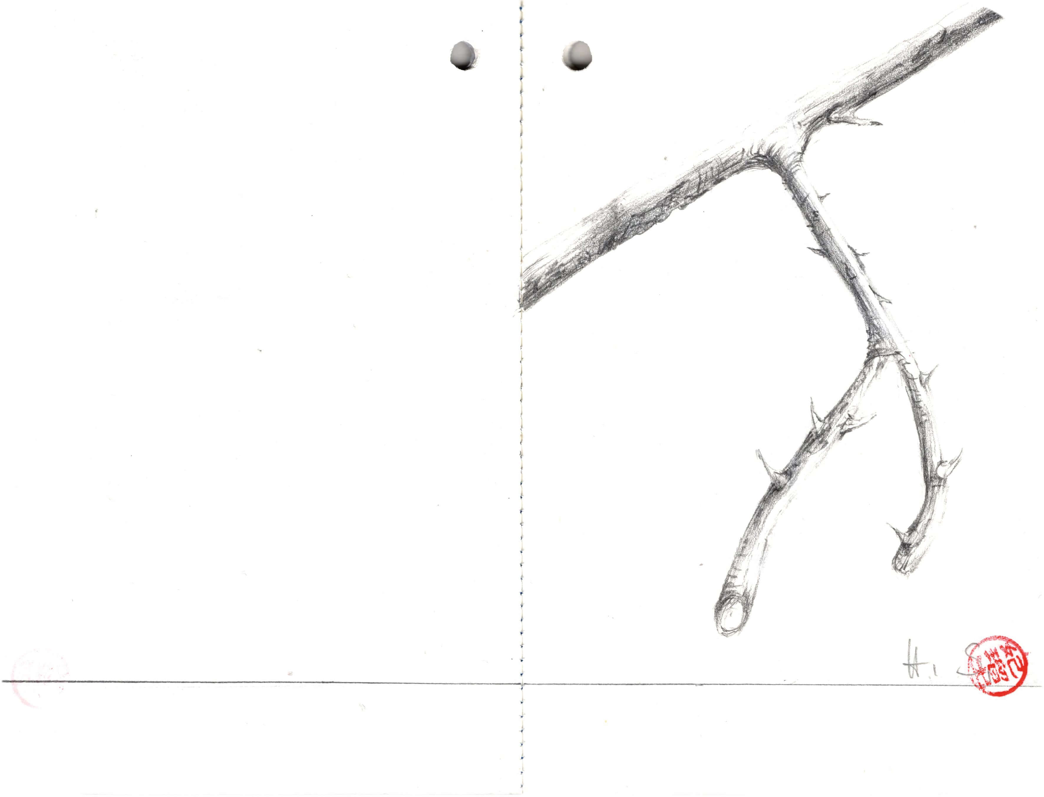 Titelbild von Sketchbook 00311