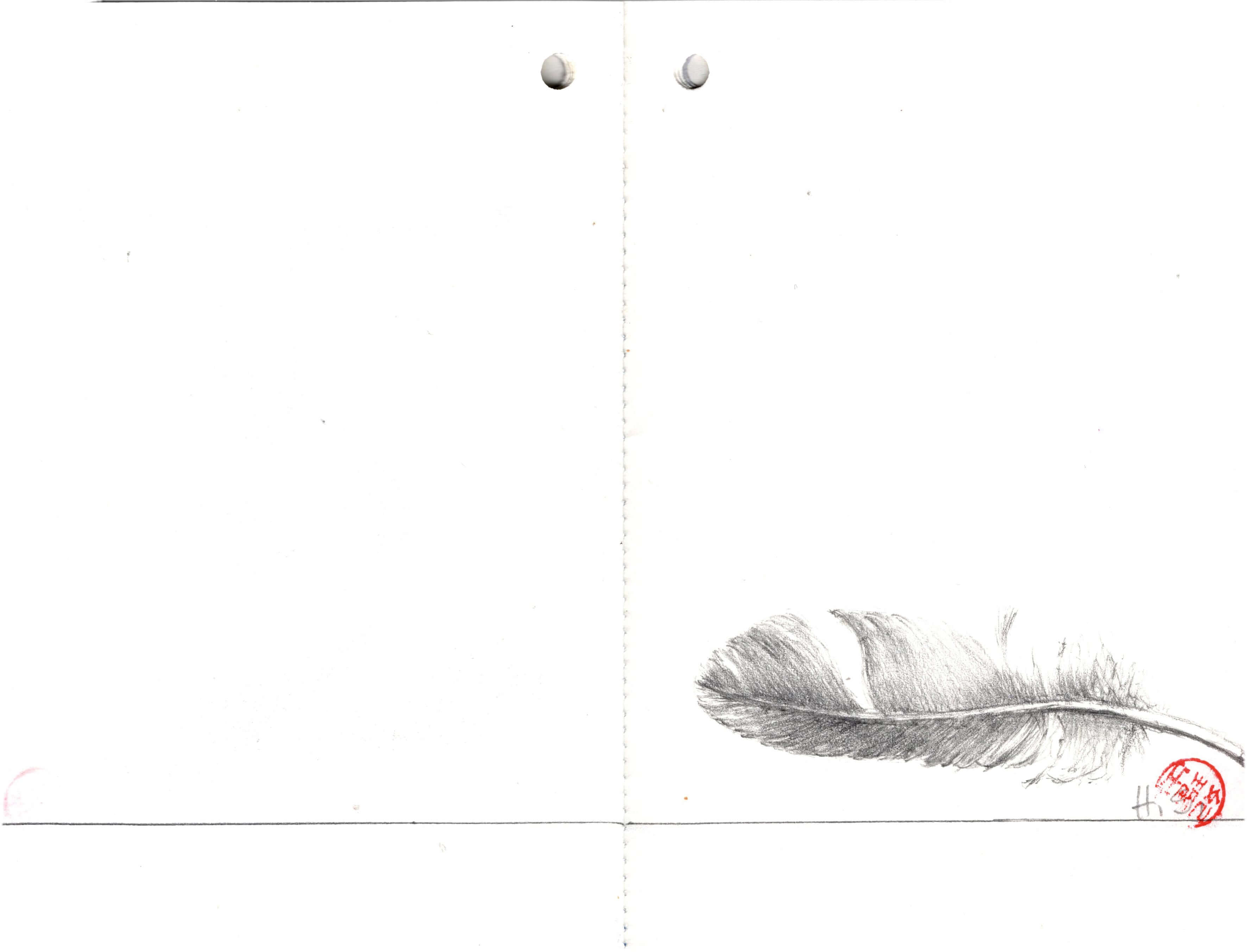 Titelbild von Sketchbook 00311
