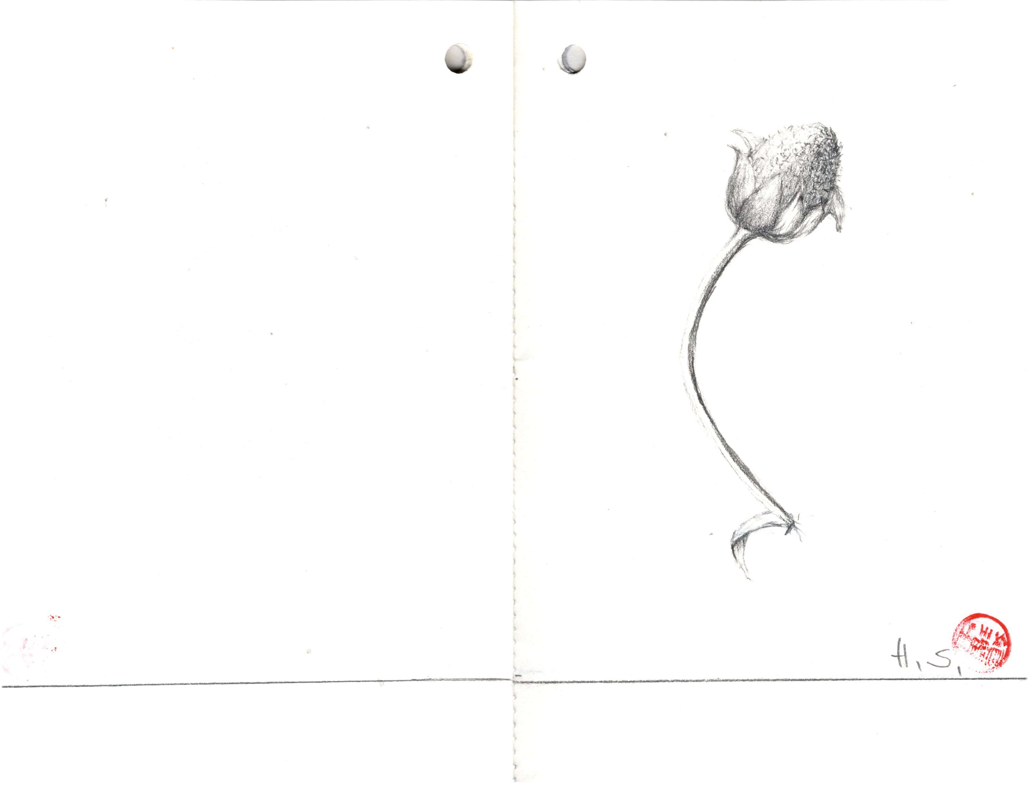 Titelbild von Sketchbook 00311