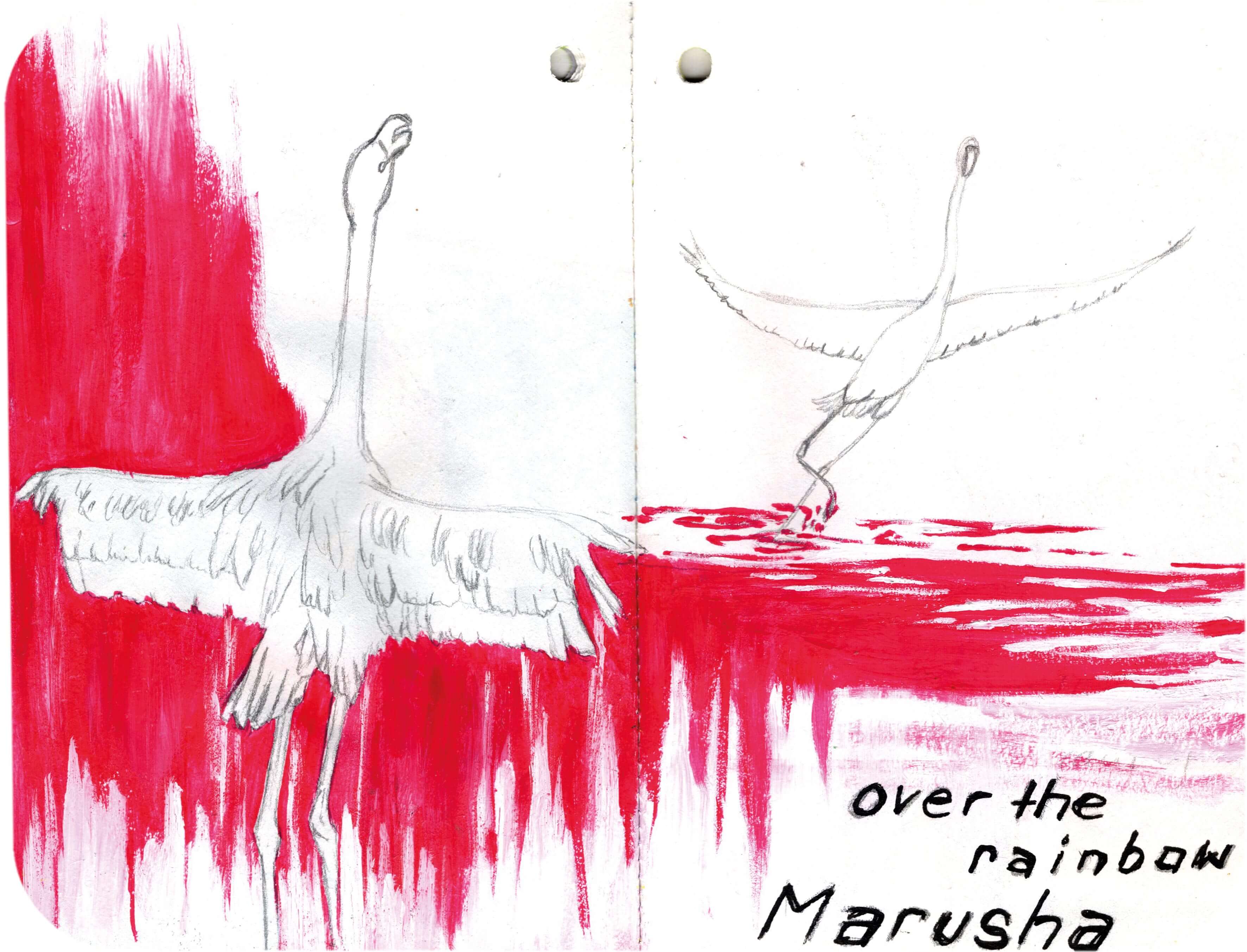 Titelbild von Sketchbook 00312