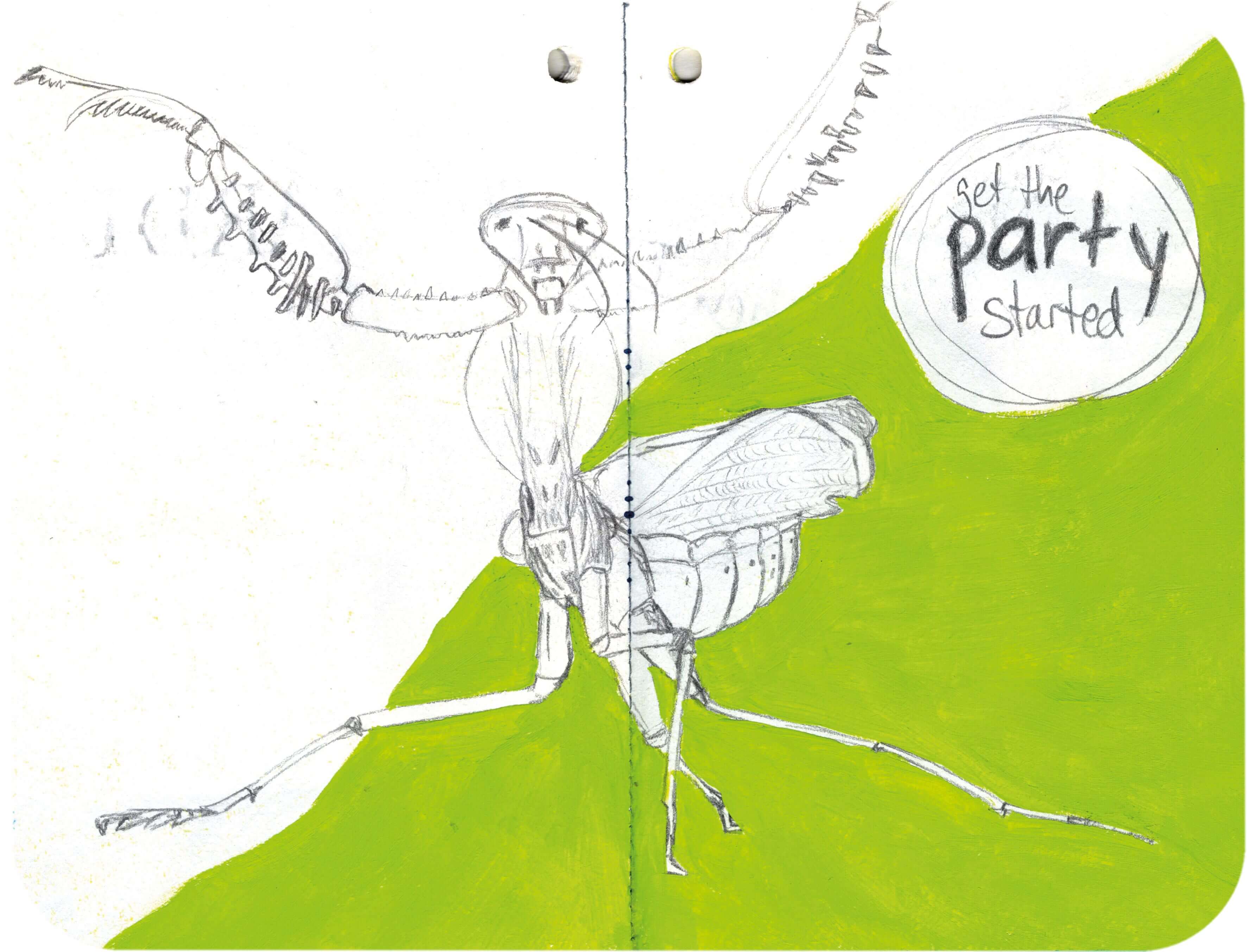 Titelbild von Sketchbook 00312
