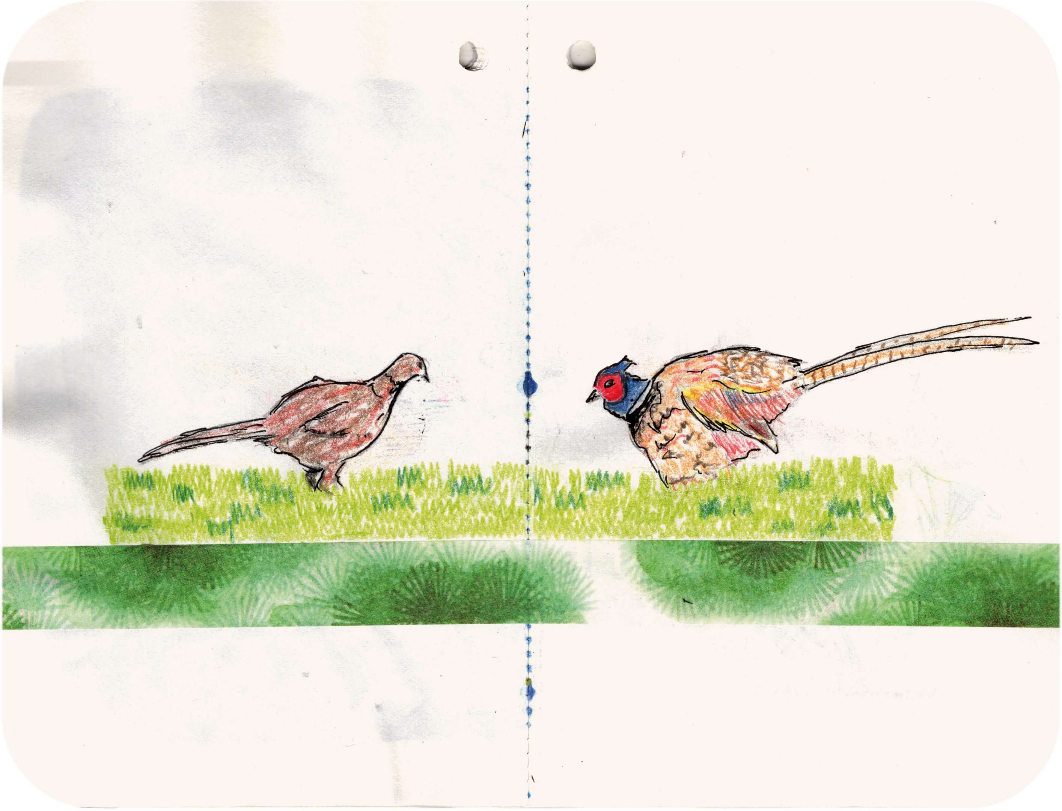 Titelbild von Sketchbook 00317