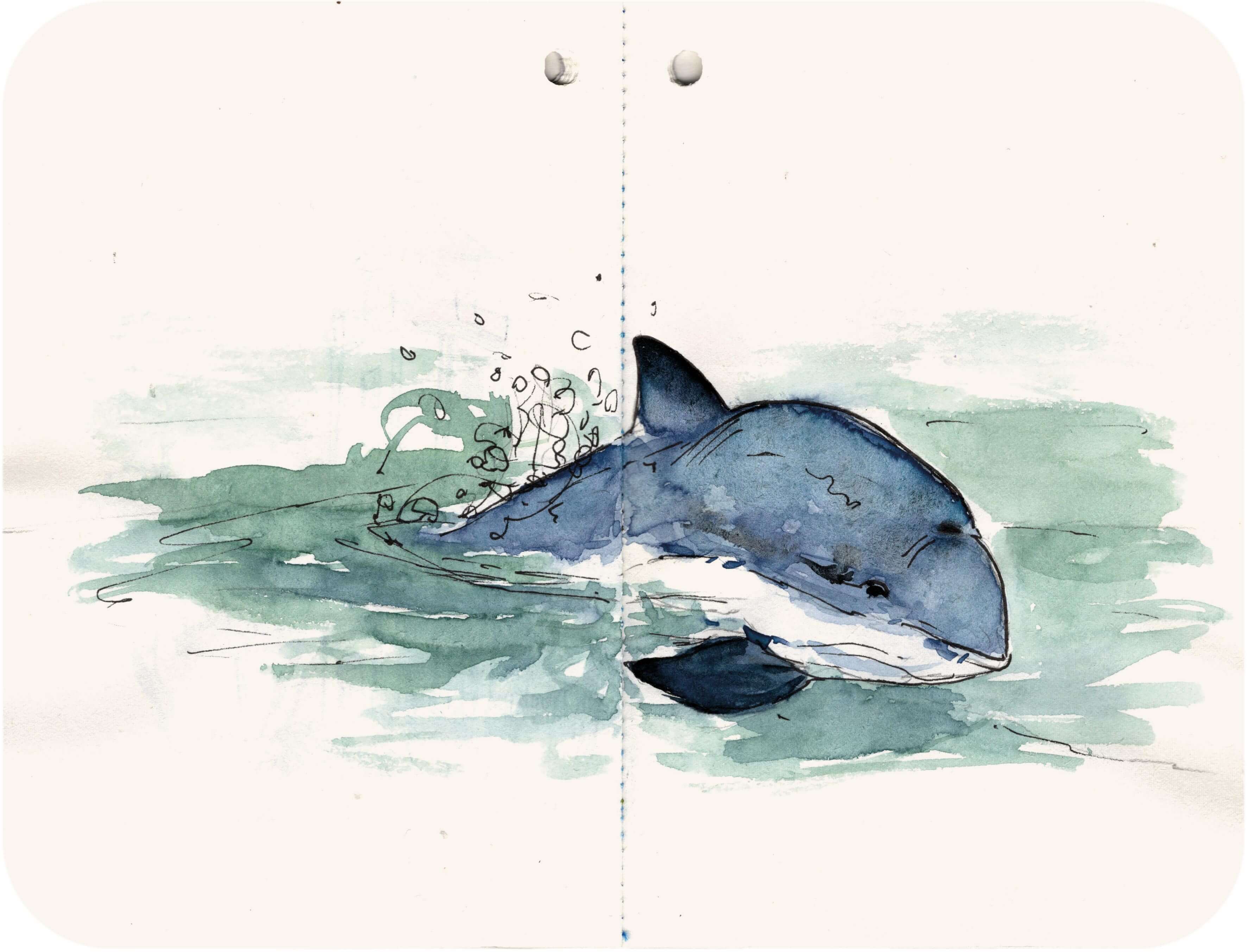 Titelbild von Sketchbook 00317