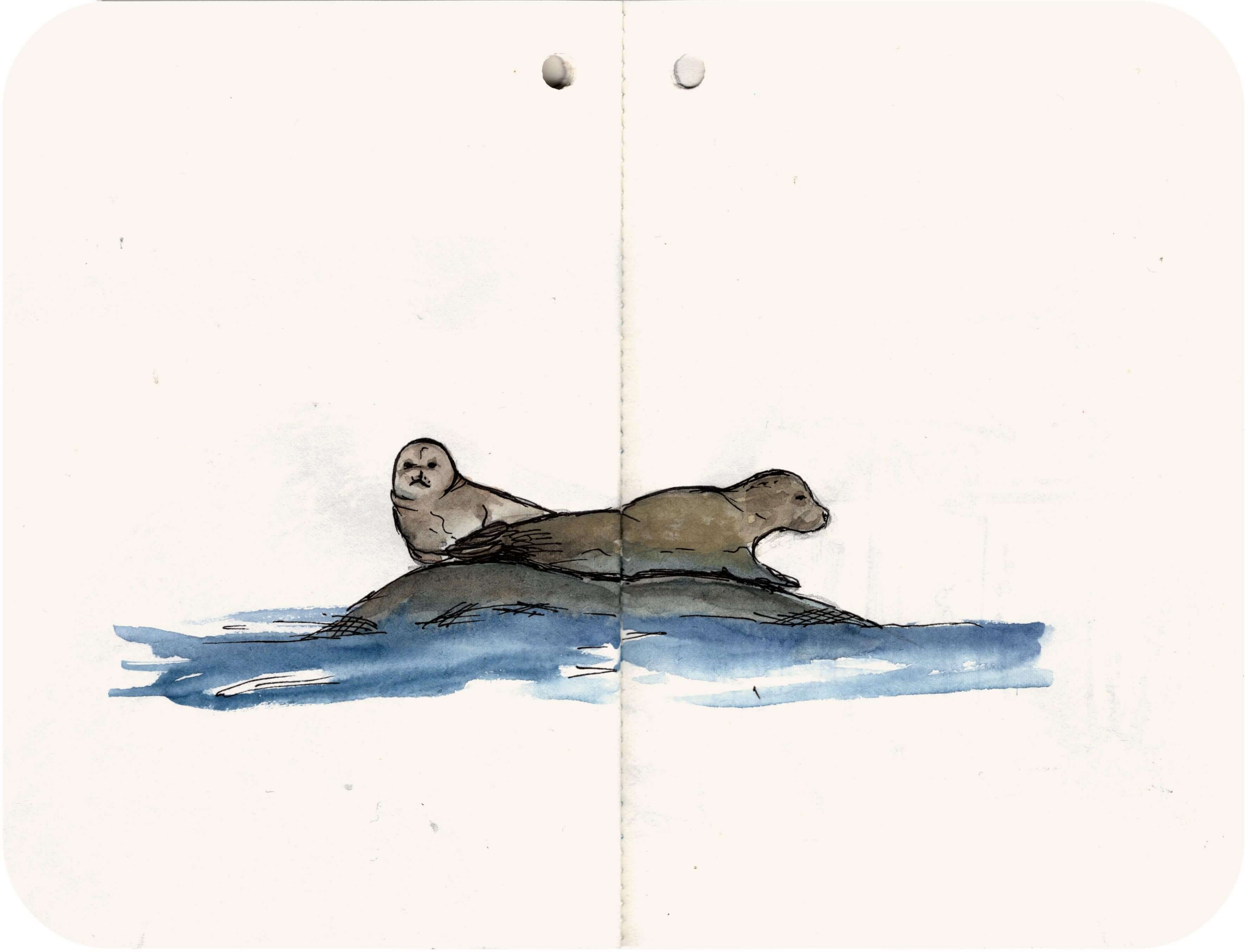 Titelbild von Sketchbook 00317