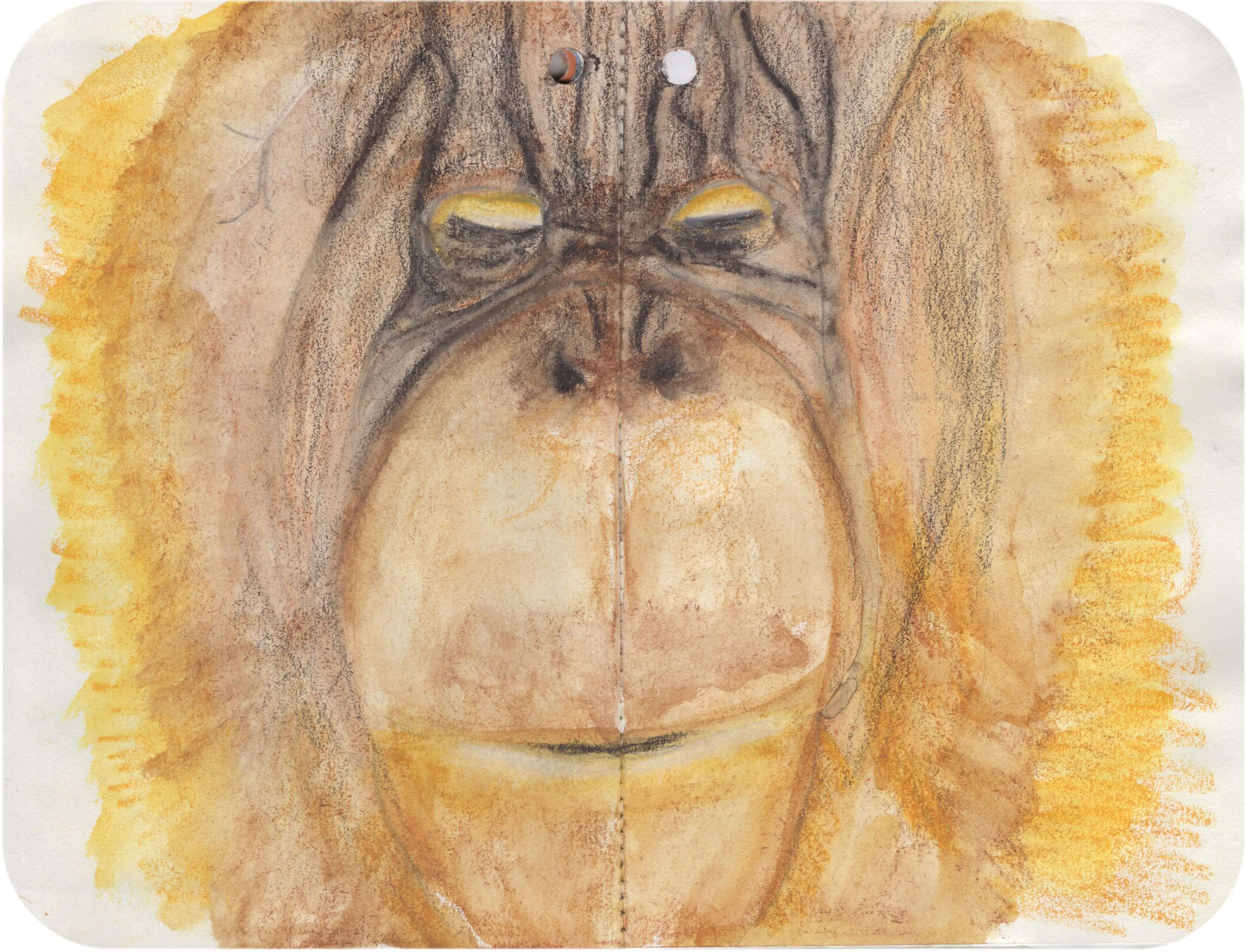 Titelbild von Sketchbook 00331