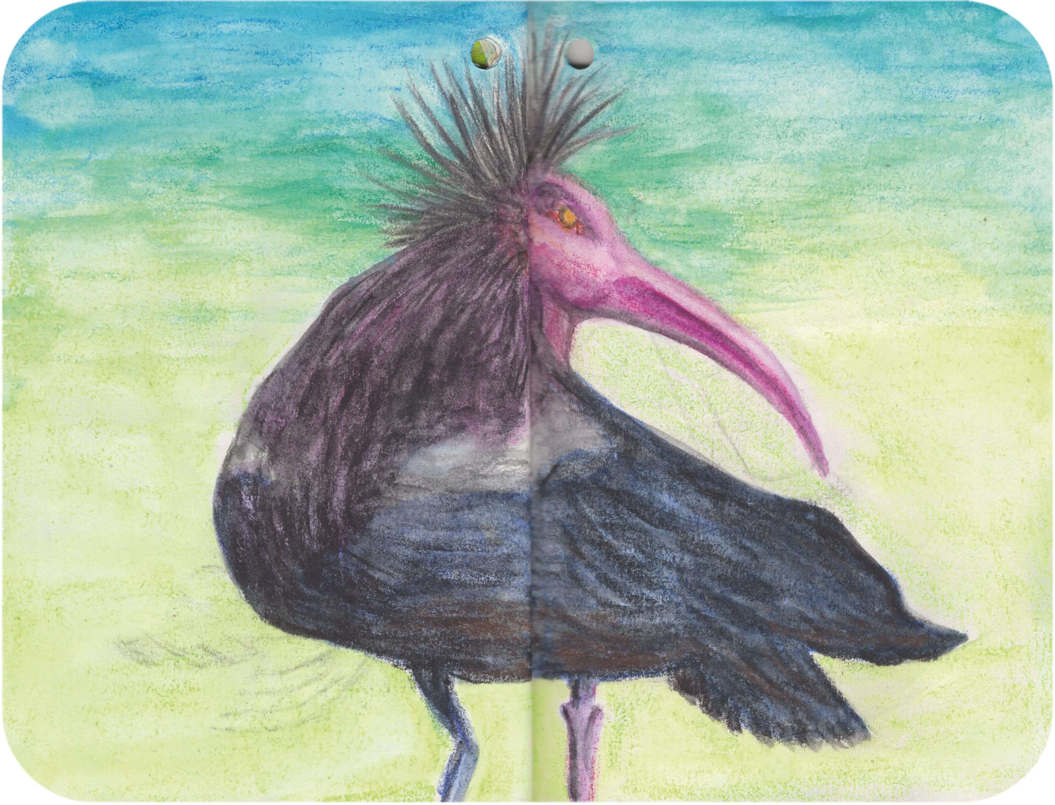 Titelbild von Sketchbook 00331