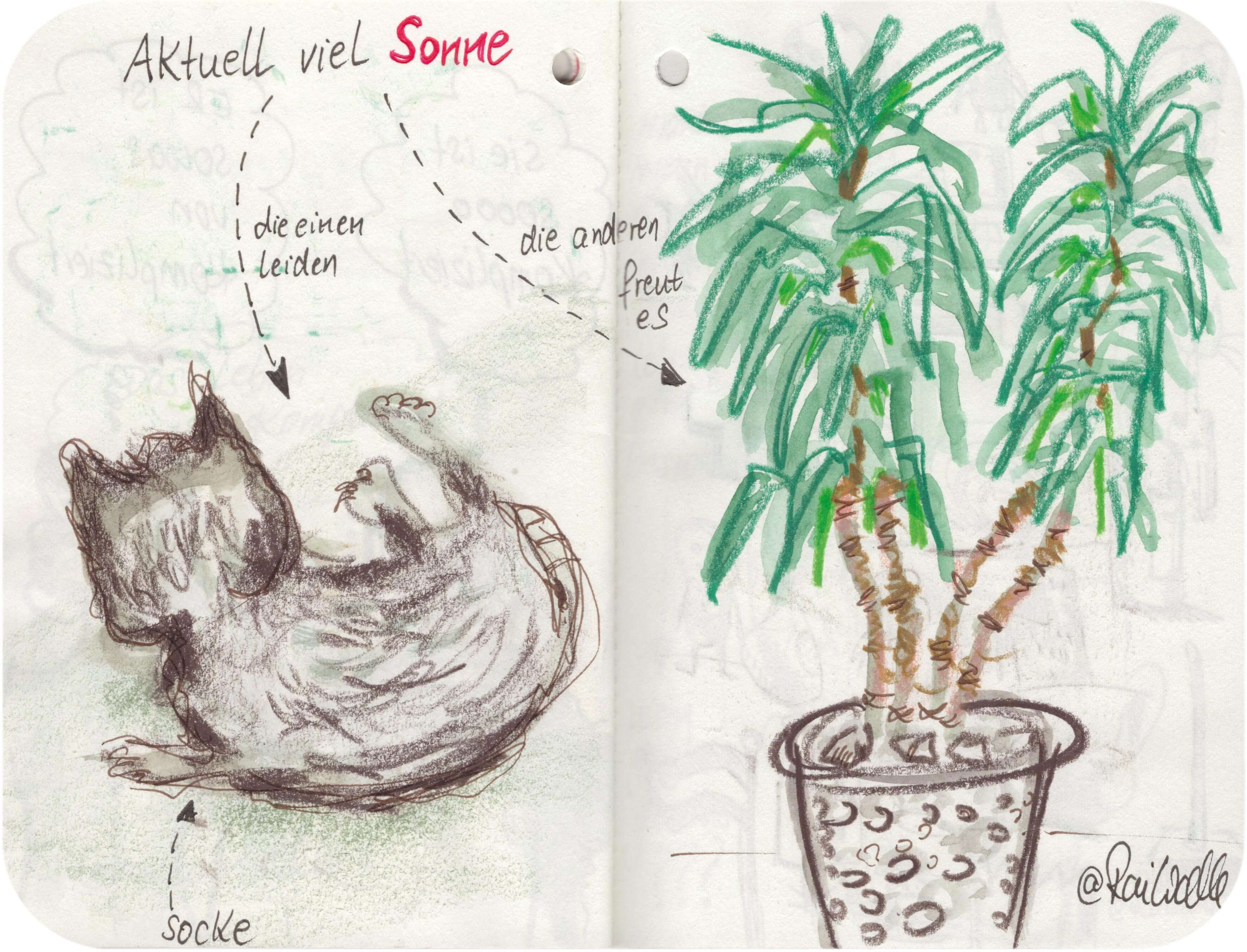 Titelbild von Sketchbook 00333