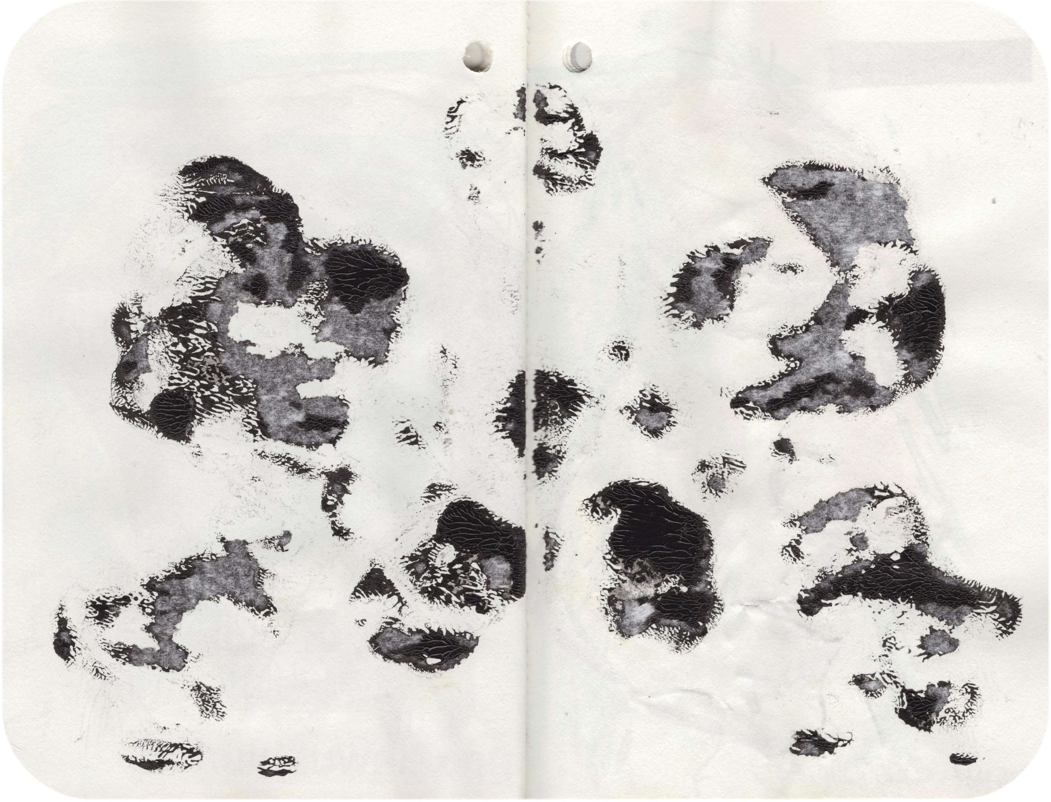 Titelbild von Sketchbook 00335