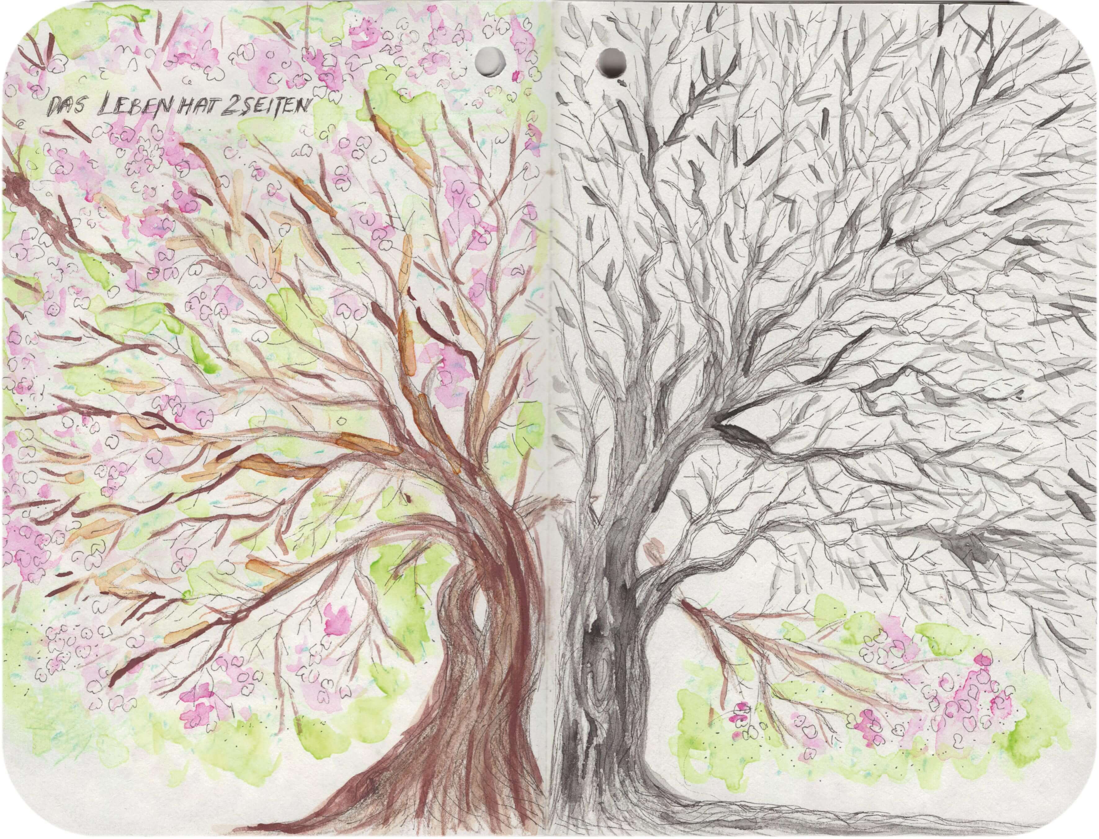 Titelbild von Sketchbook 00336