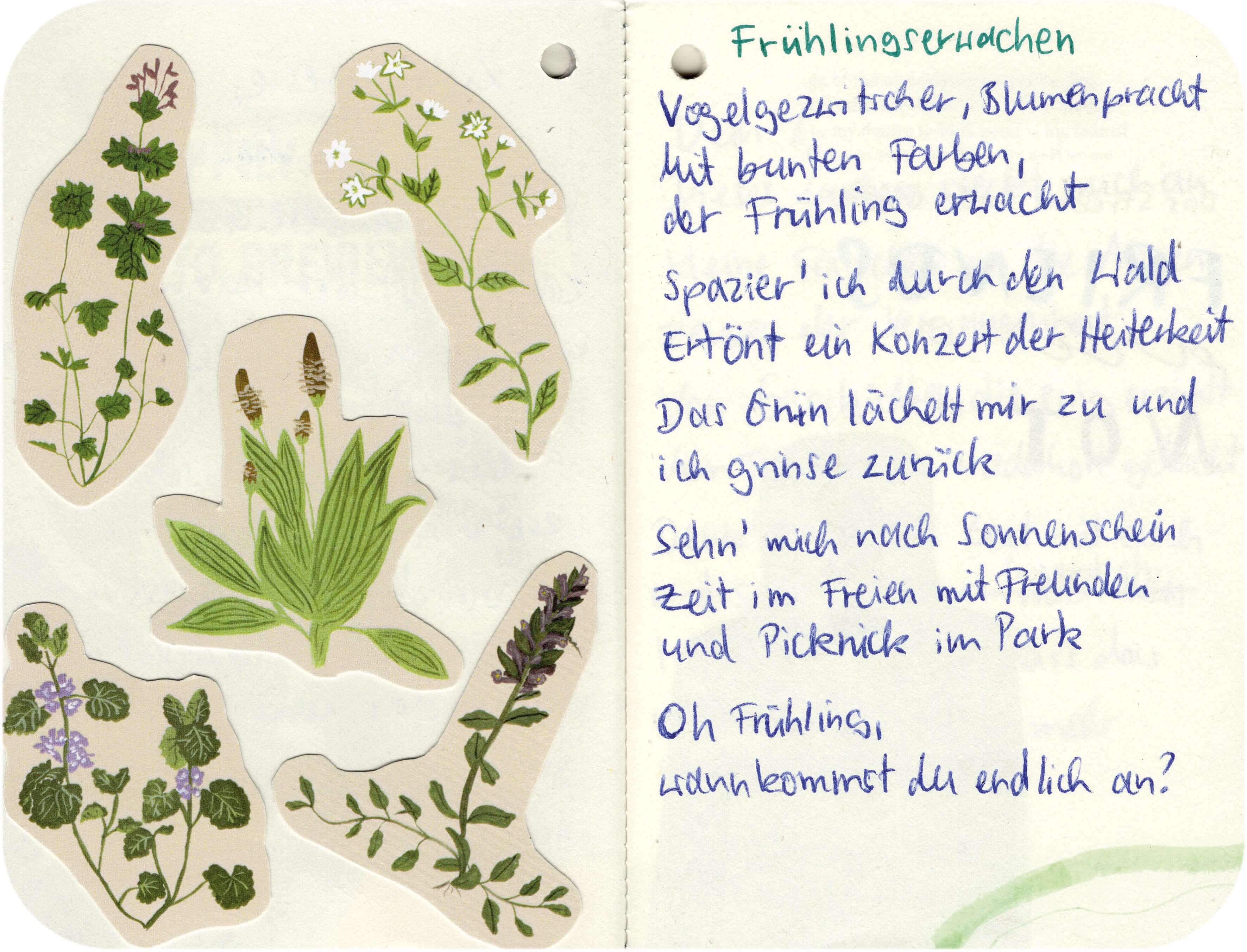 Titelbild von Sketchbook 00339