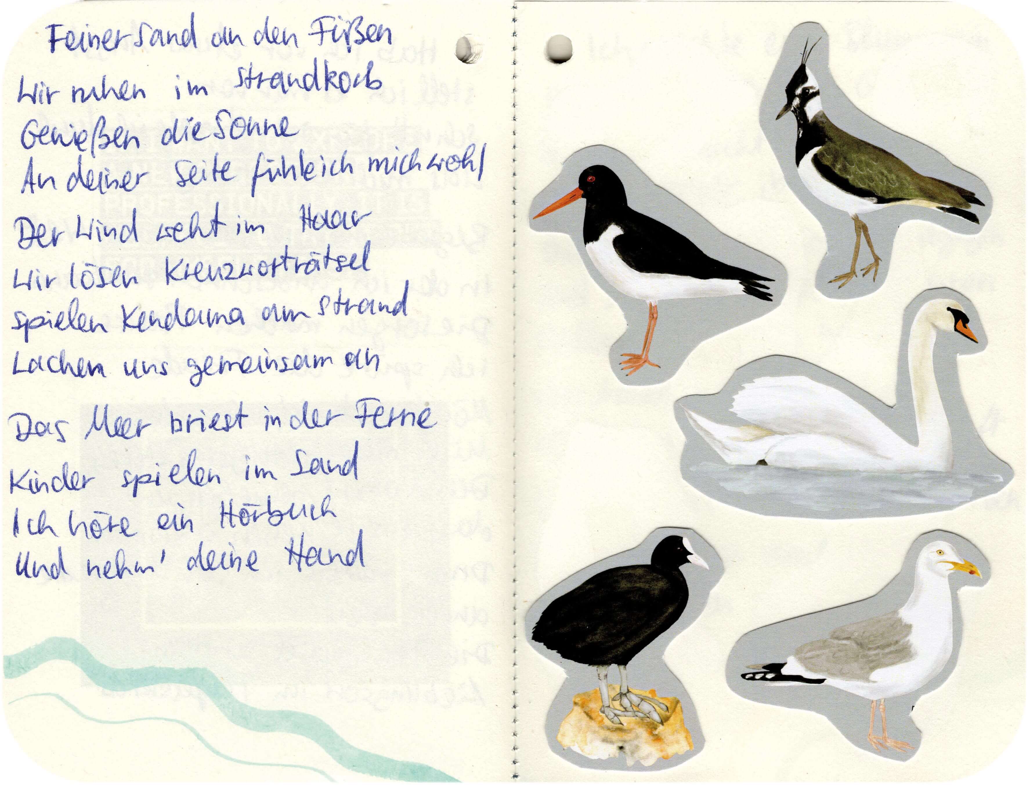 Titelbild von Sketchbook 00339