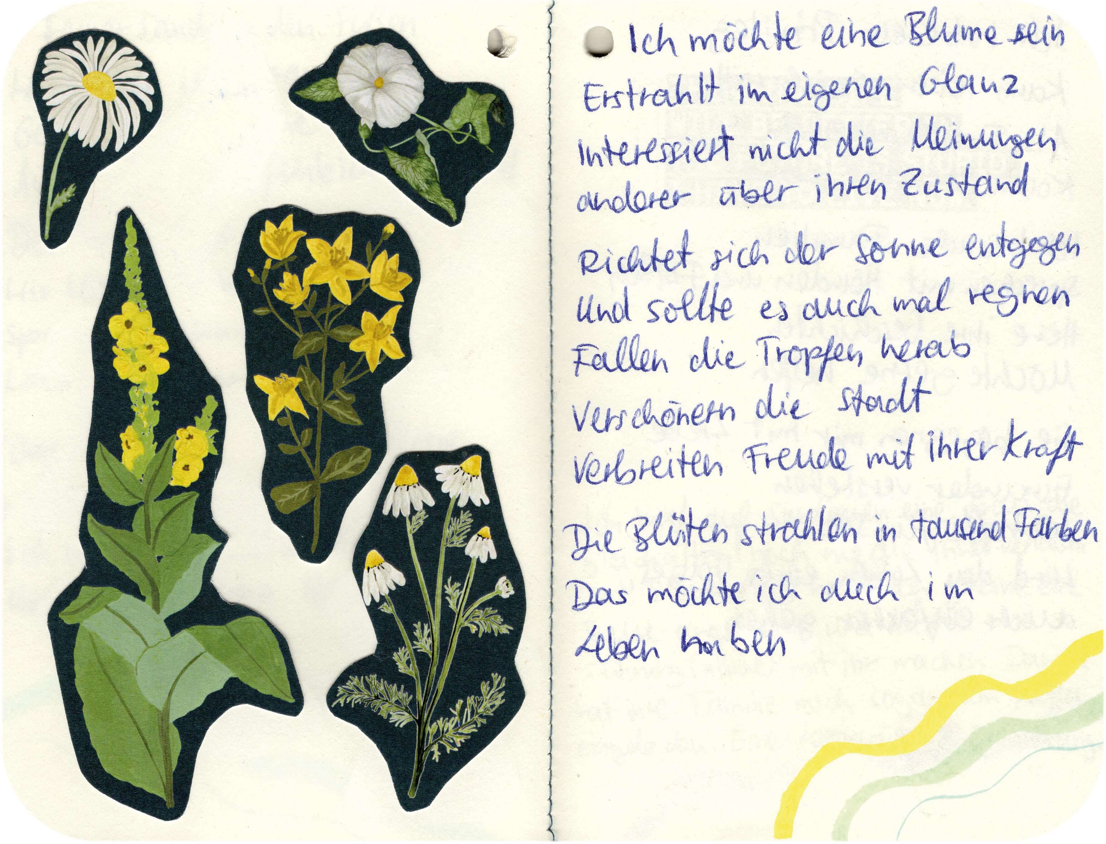 Titelbild von Sketchbook 00339