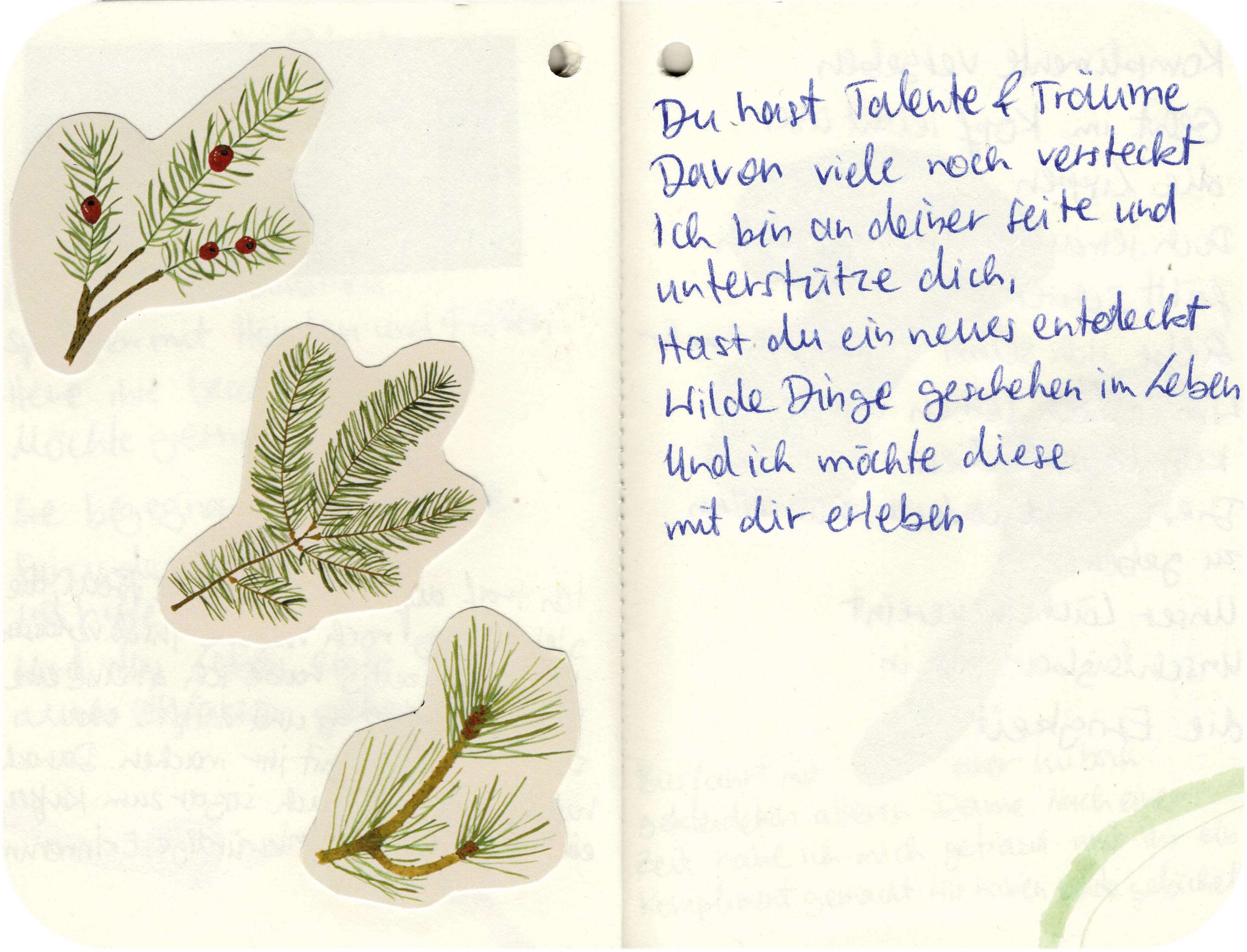 Titelbild von Sketchbook 00339