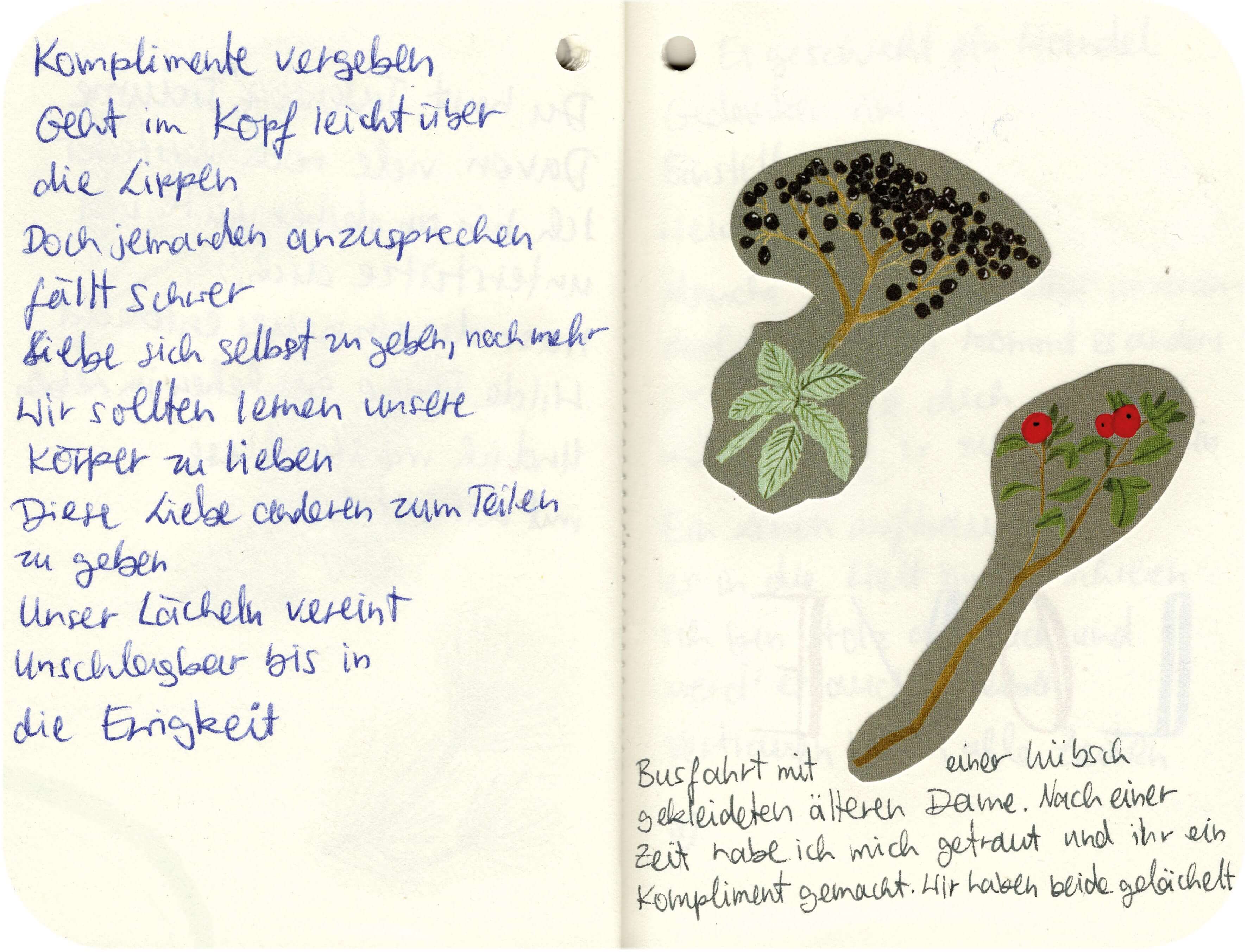 Titelbild von Sketchbook 00339
