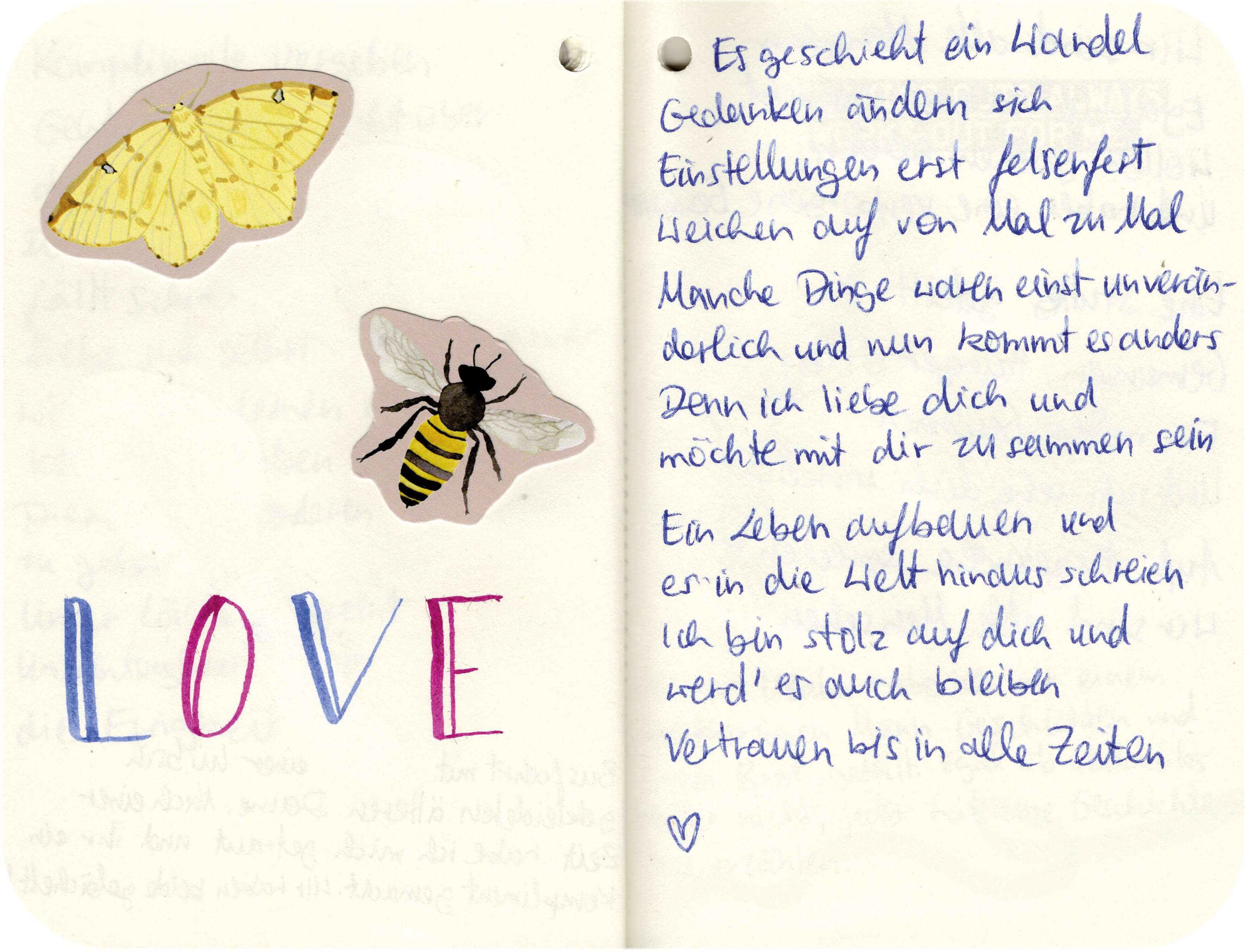 Titelbild von Sketchbook 00339