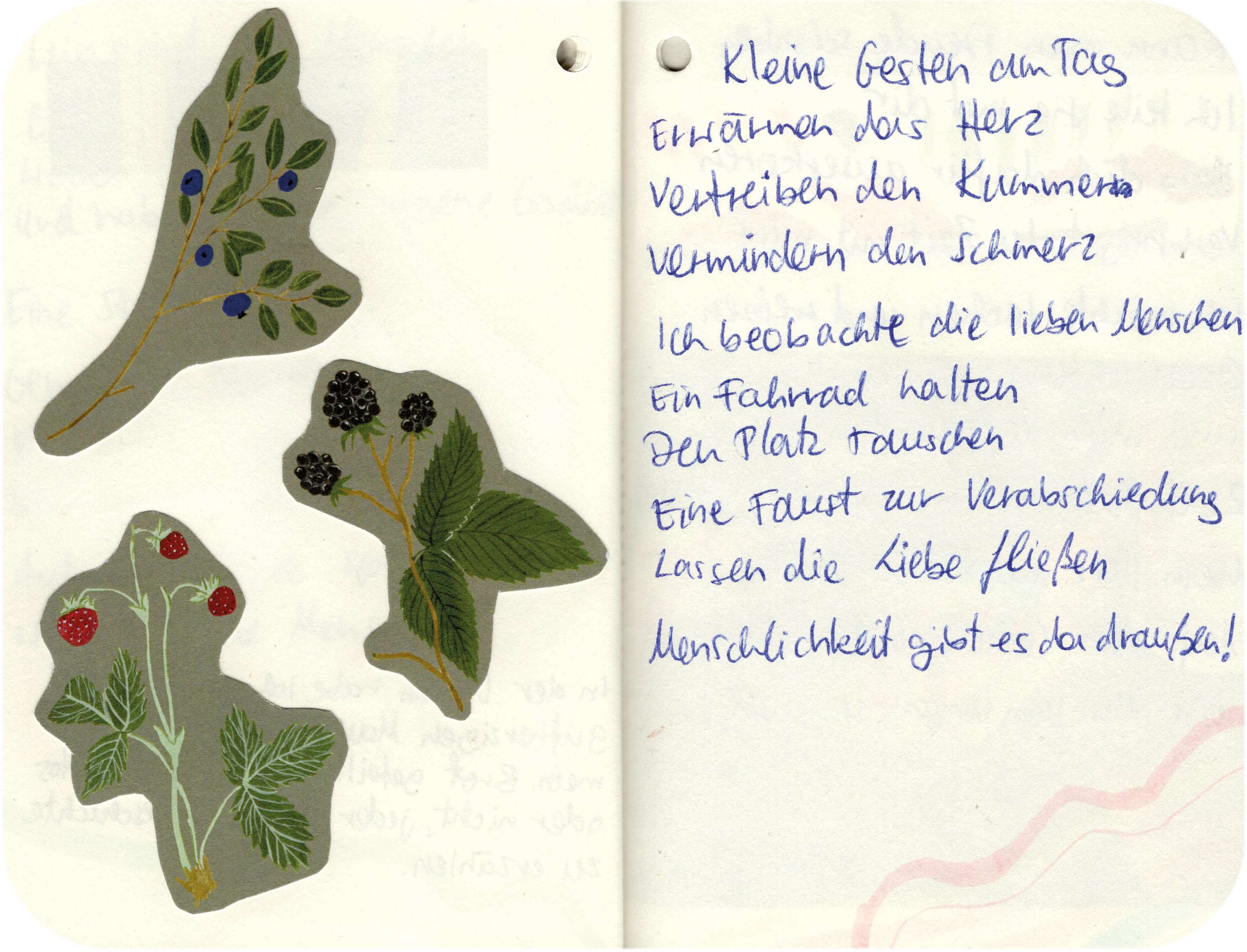 Titelbild von Sketchbook 00339