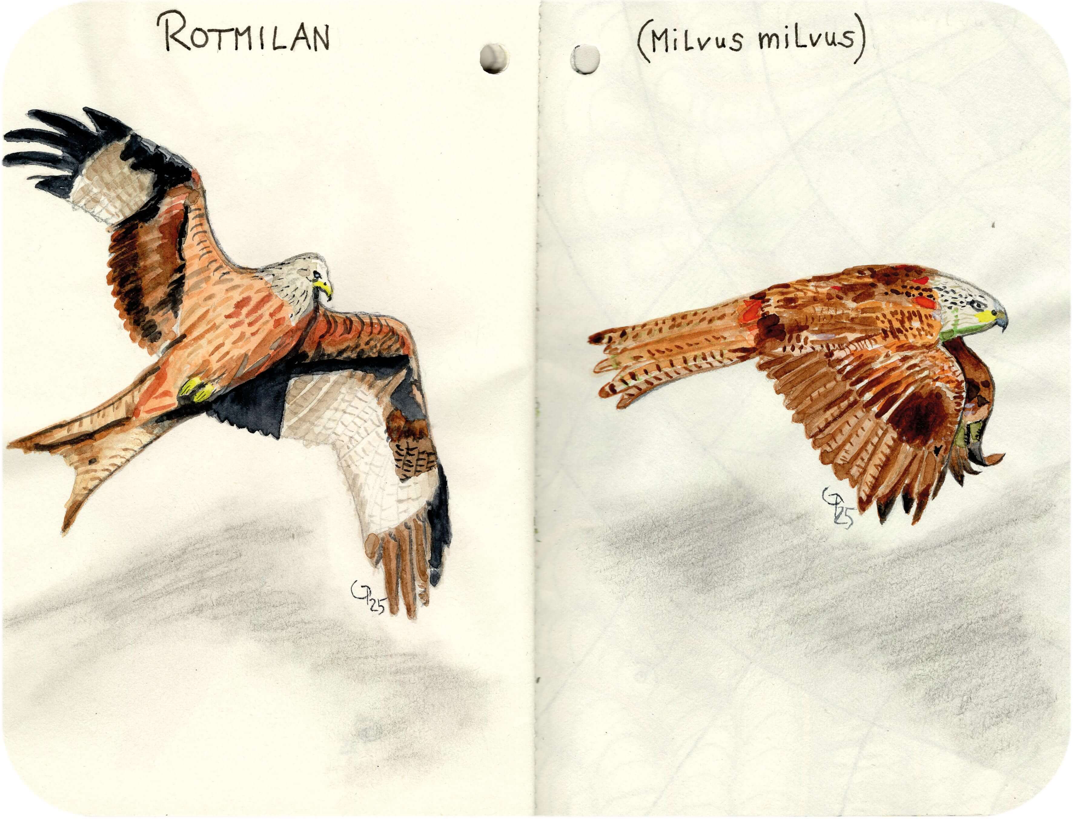 Titelbild von Sketchbook 00340