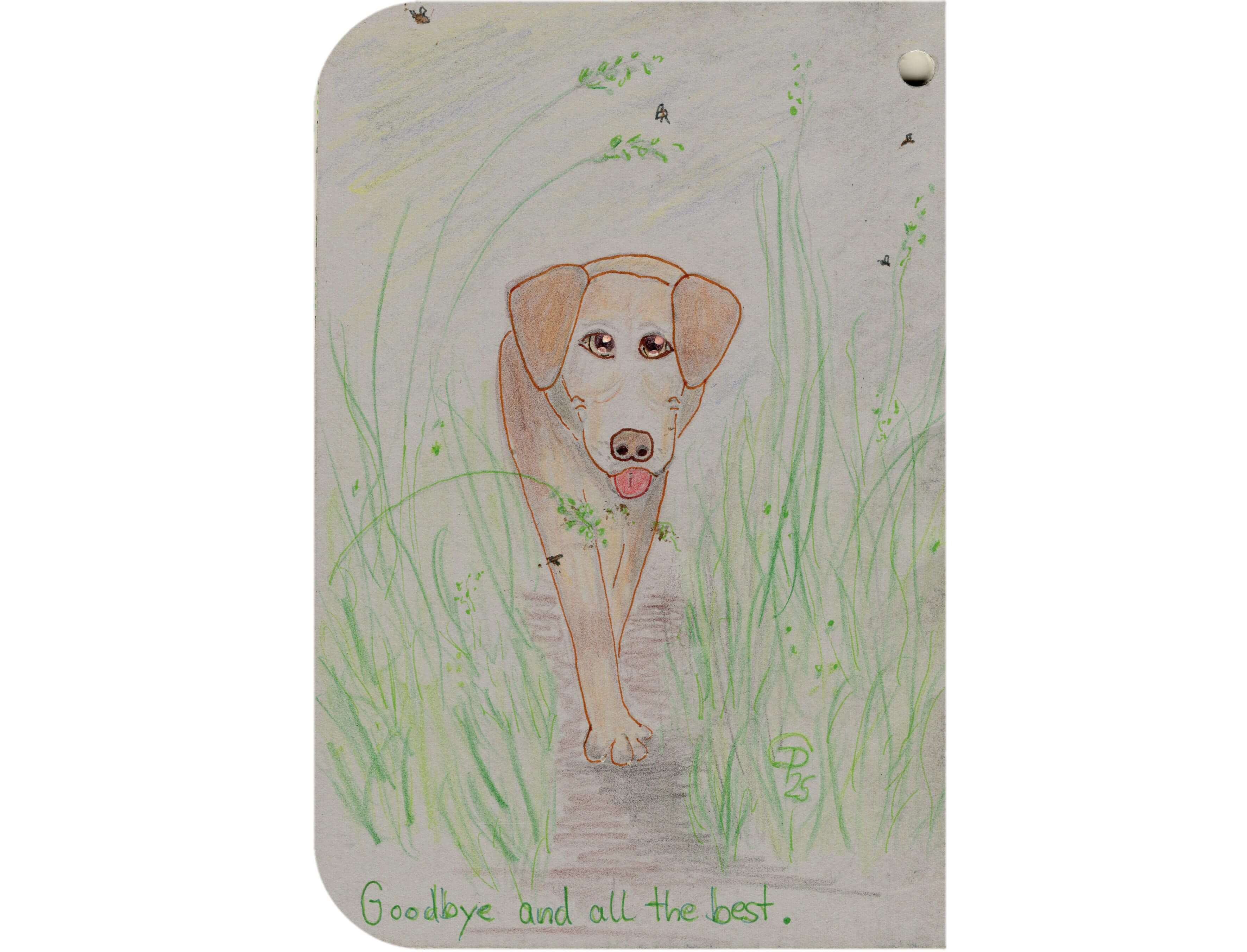 Titelbild von Sketchbook 00340