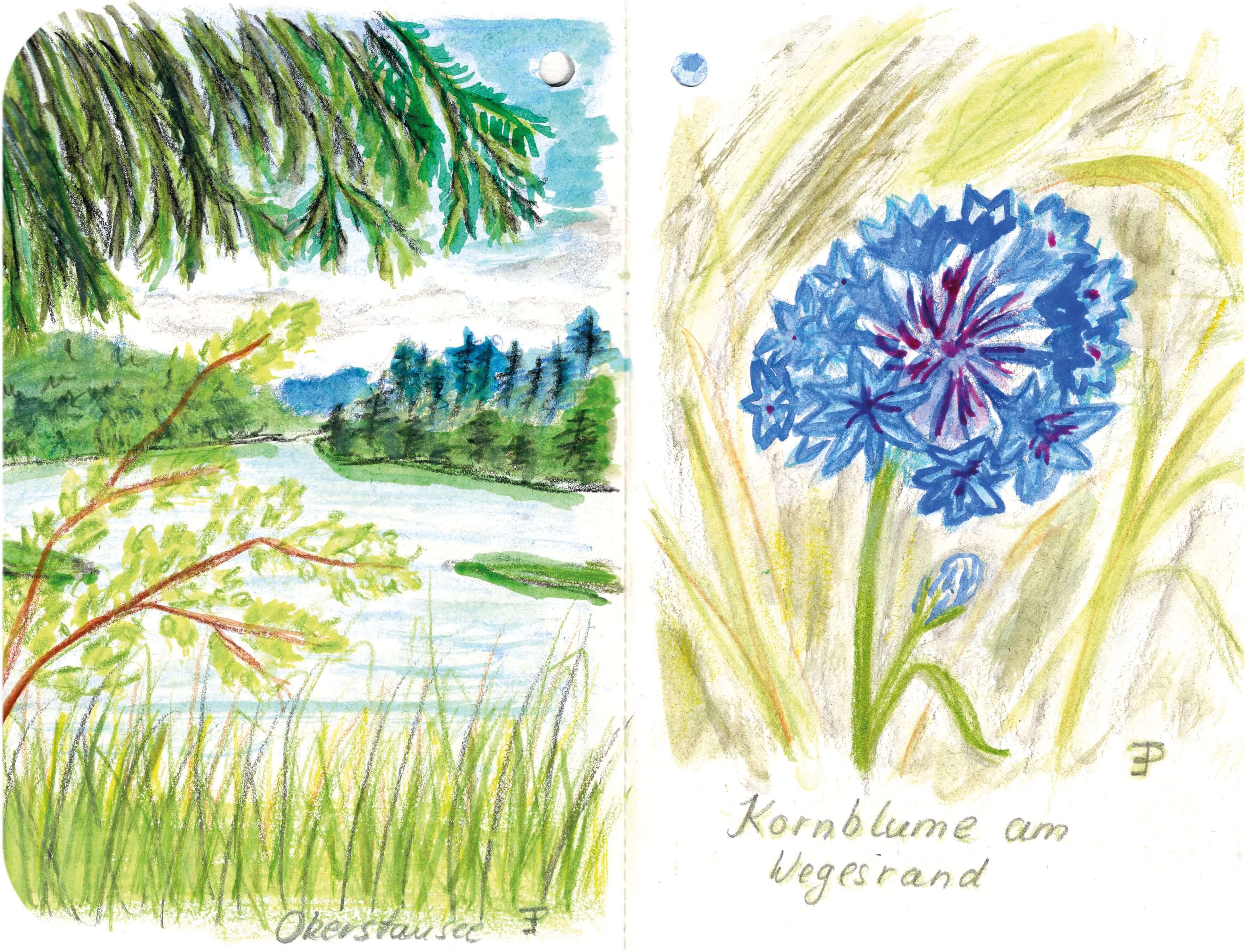 Titelbild von Sketchbook 00345