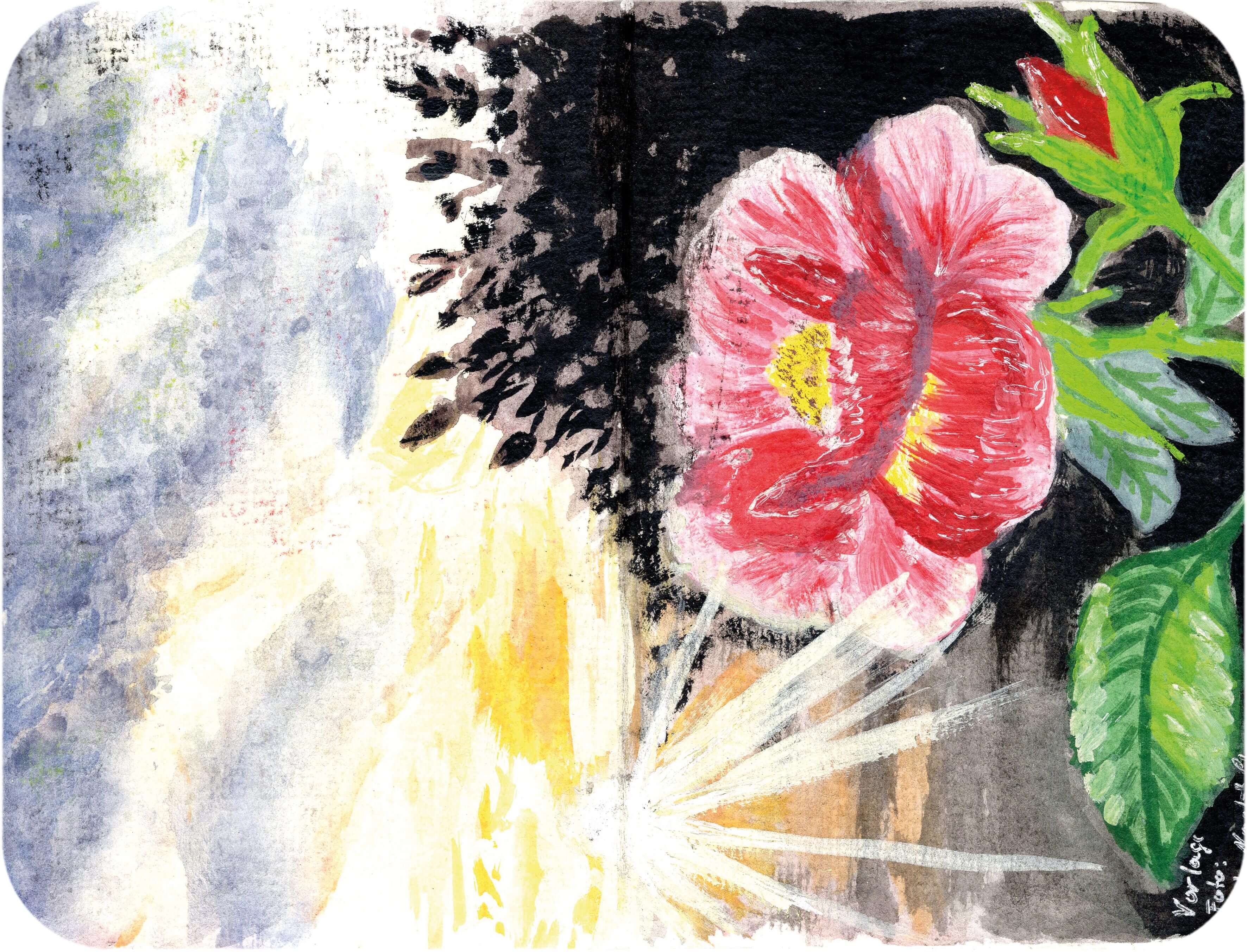 Titelbild von Sketchbook 00345