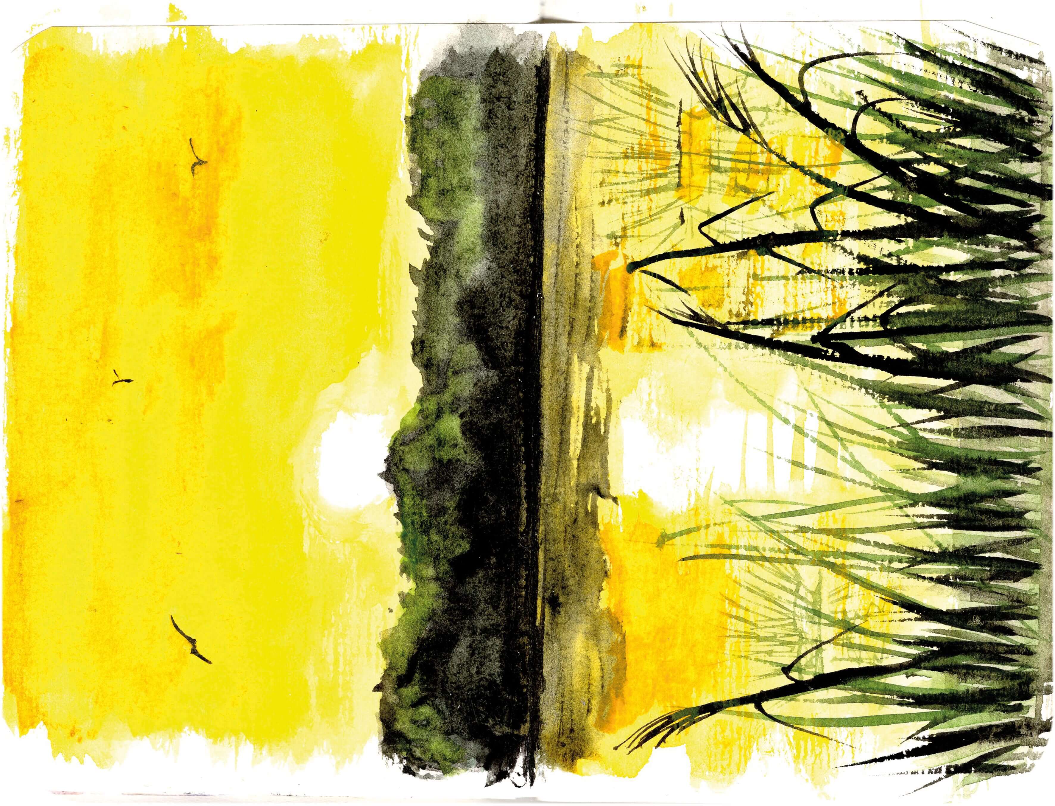Titelbild von Sketchbook 00345