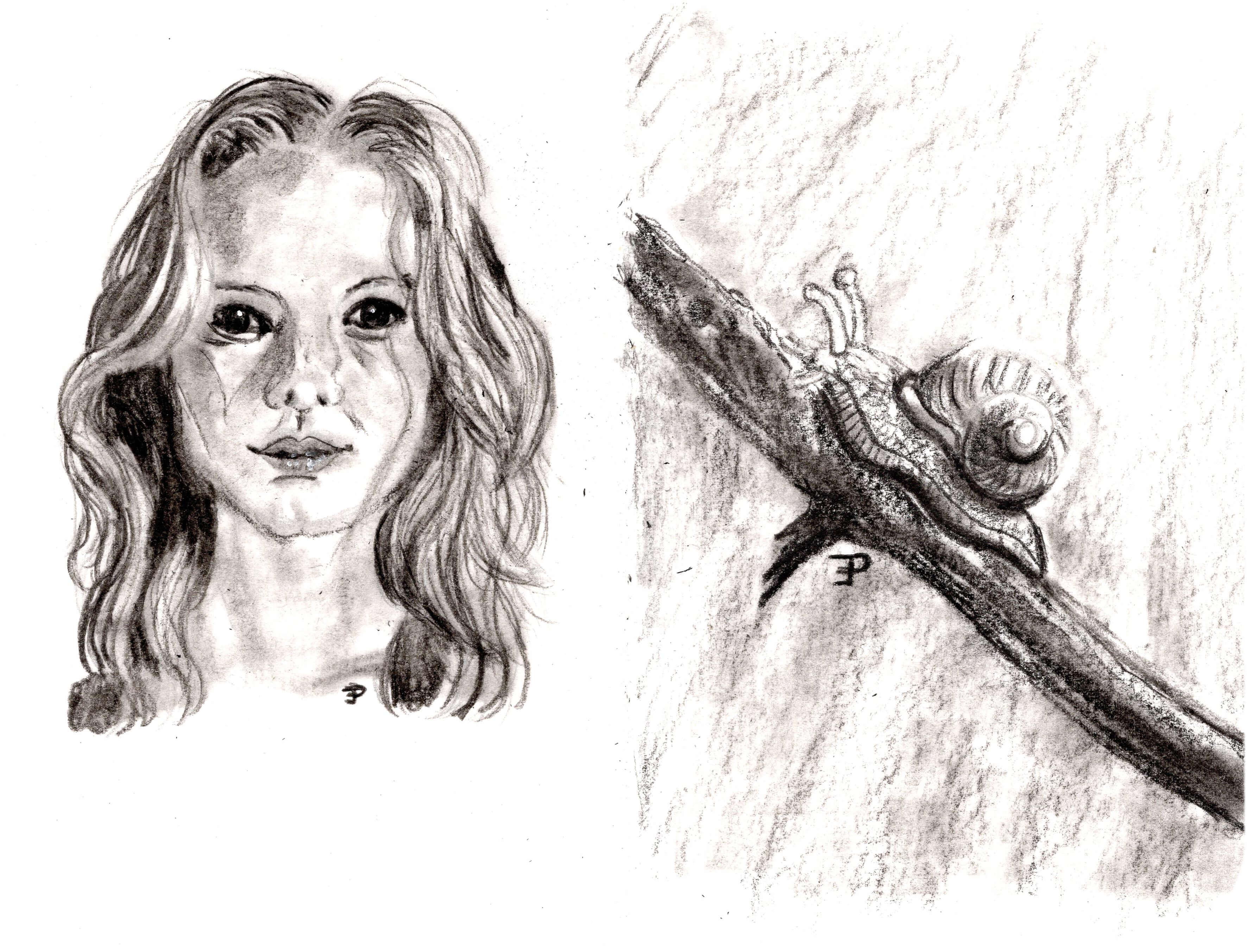 Titelbild von Sketchbook 00345