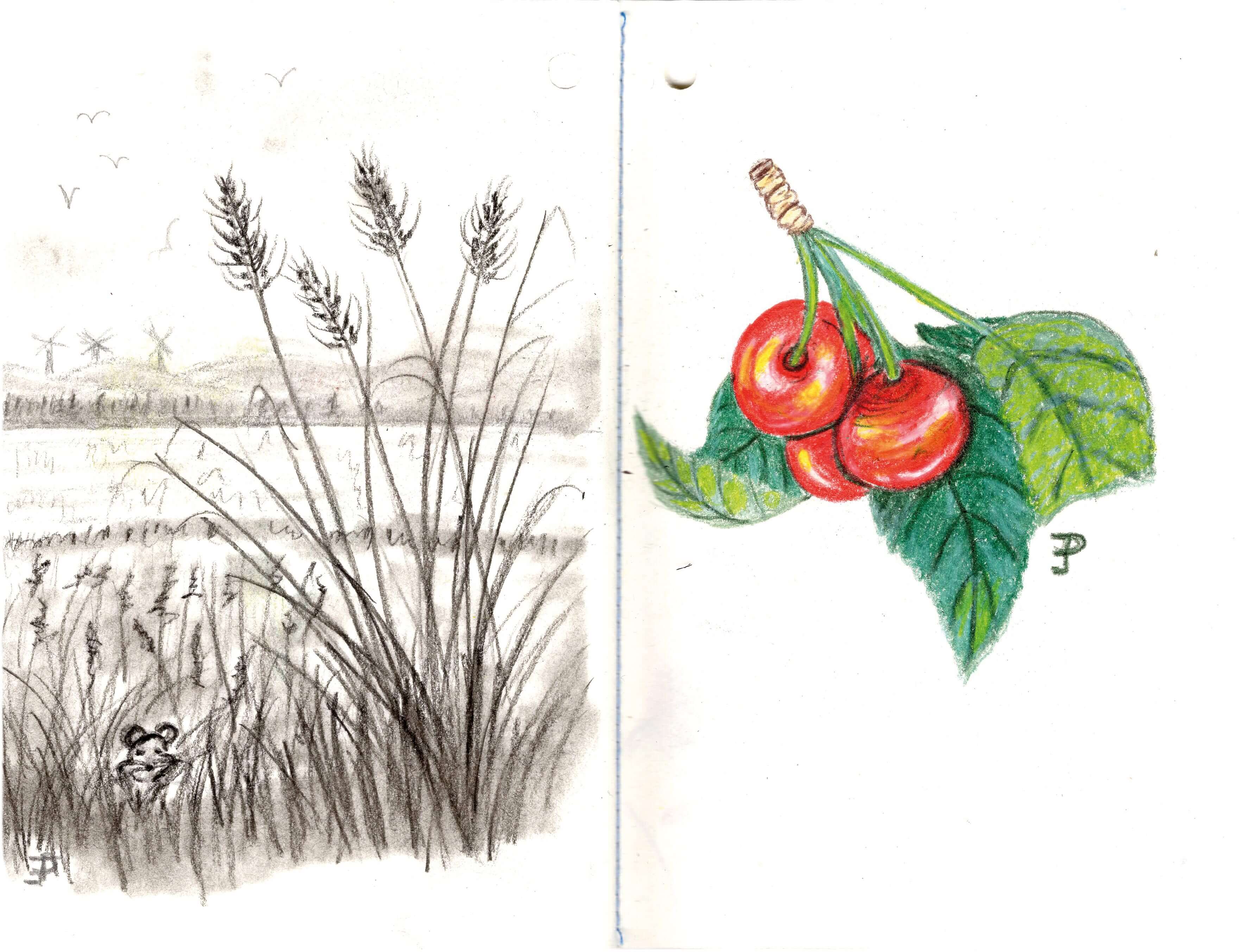 Titelbild von Sketchbook 00345