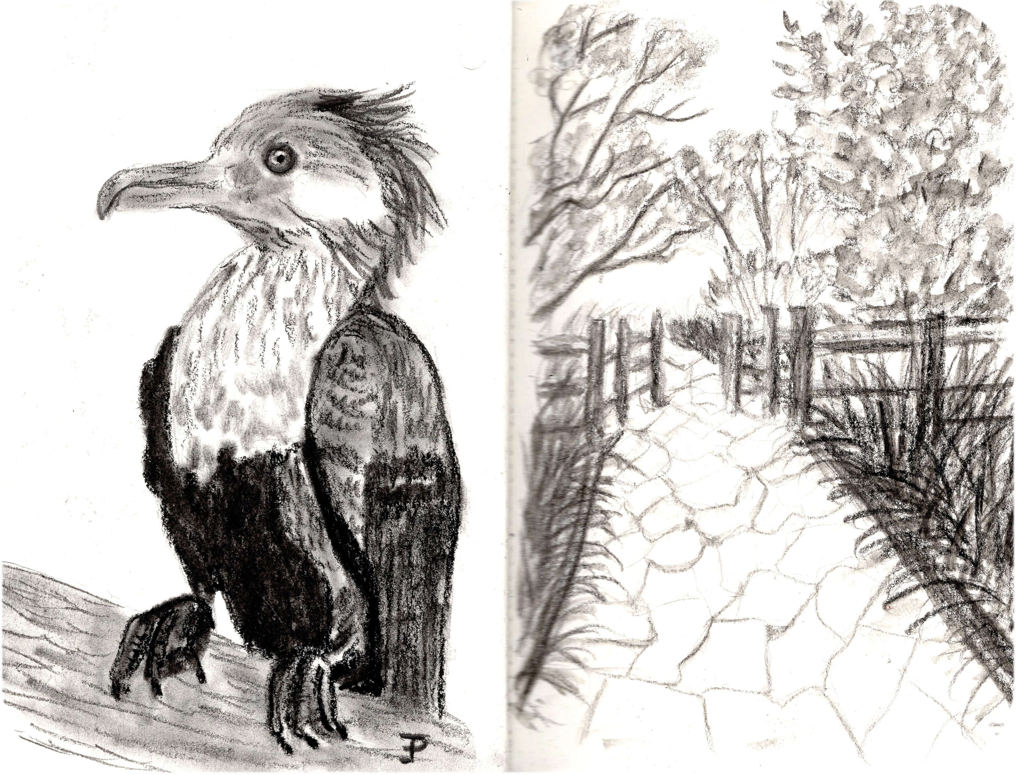 Titelbild von Sketchbook 00345