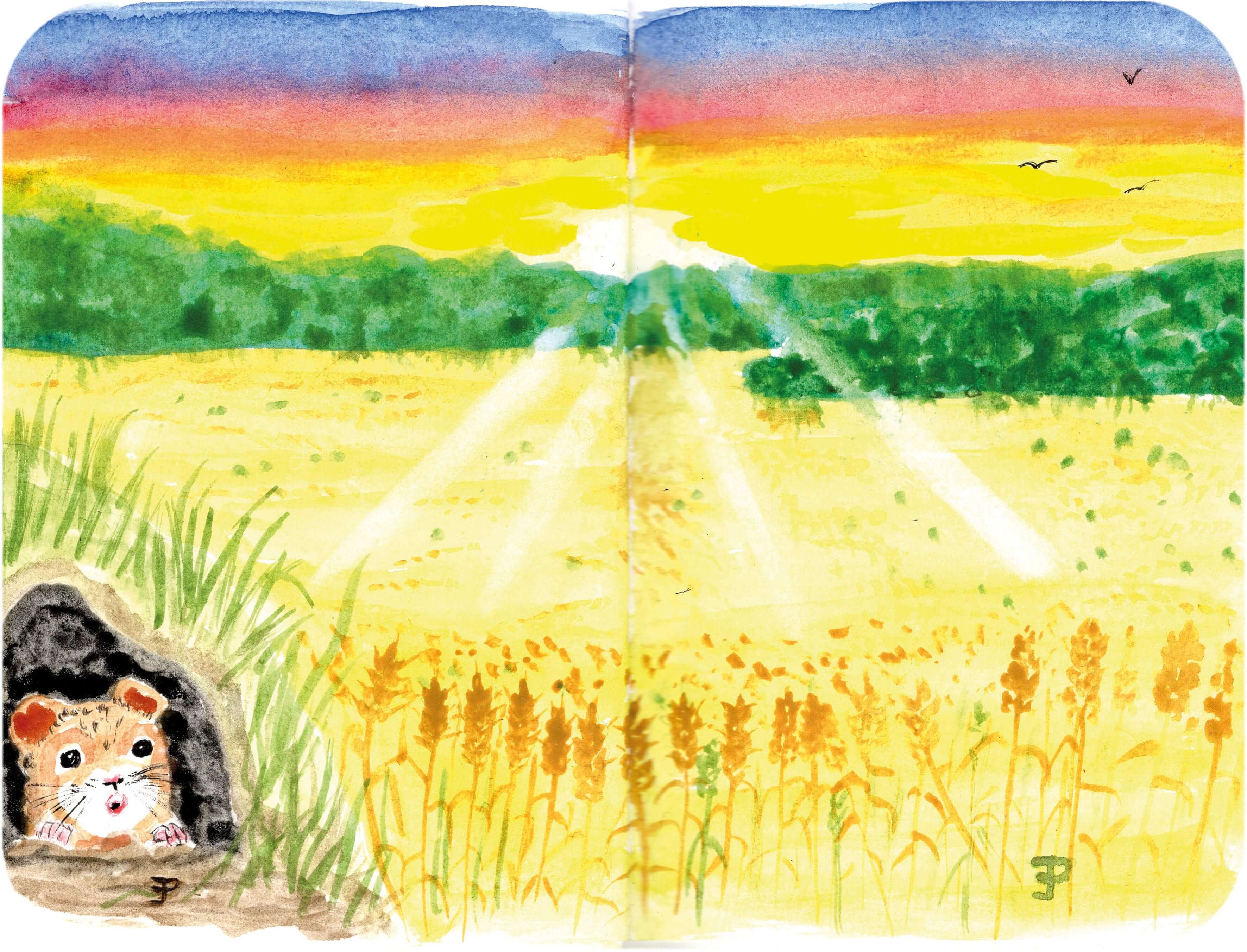 Titelbild von Sketchbook 00345