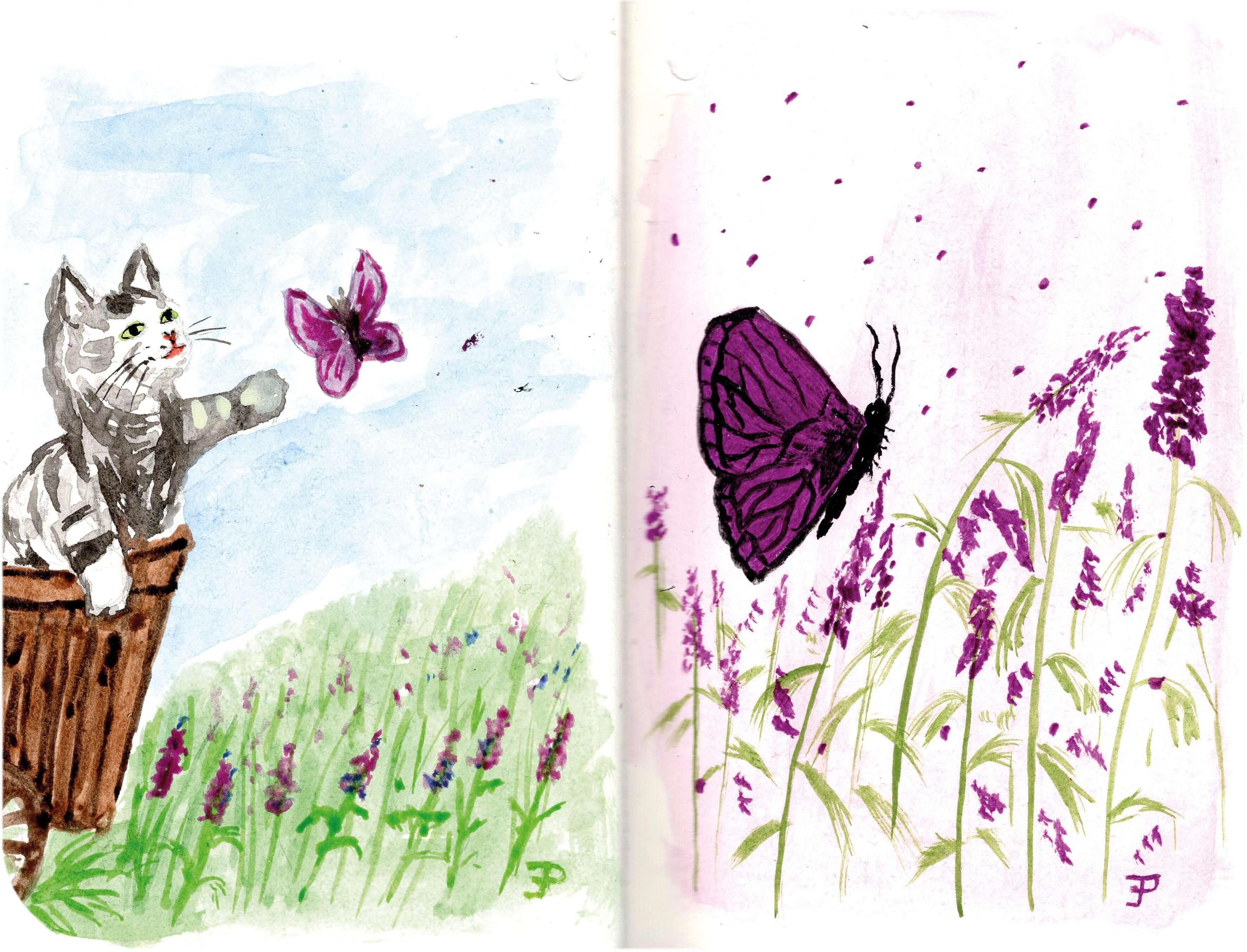 Titelbild von Sketchbook 00345