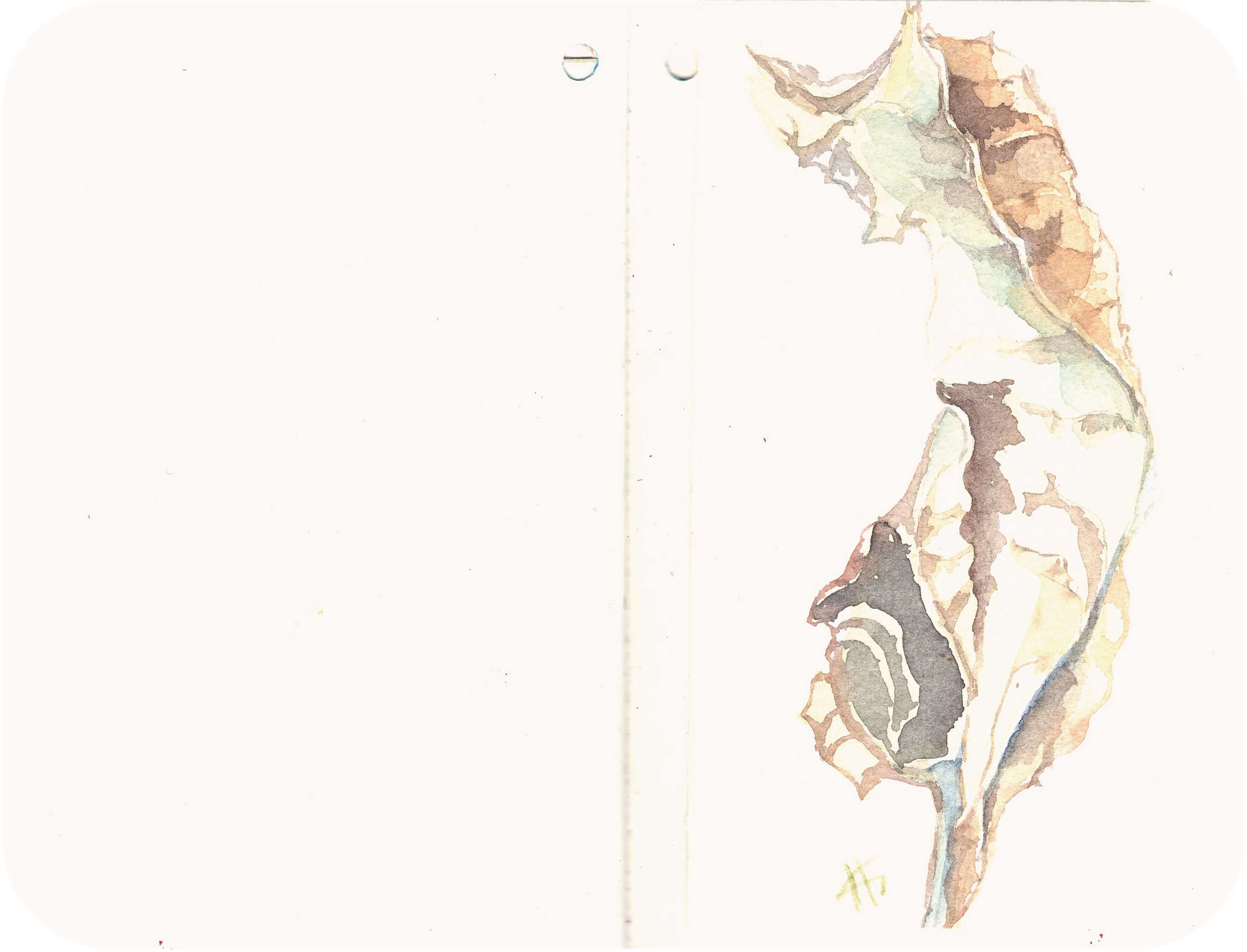 Titelbild von Sketchbook 00358