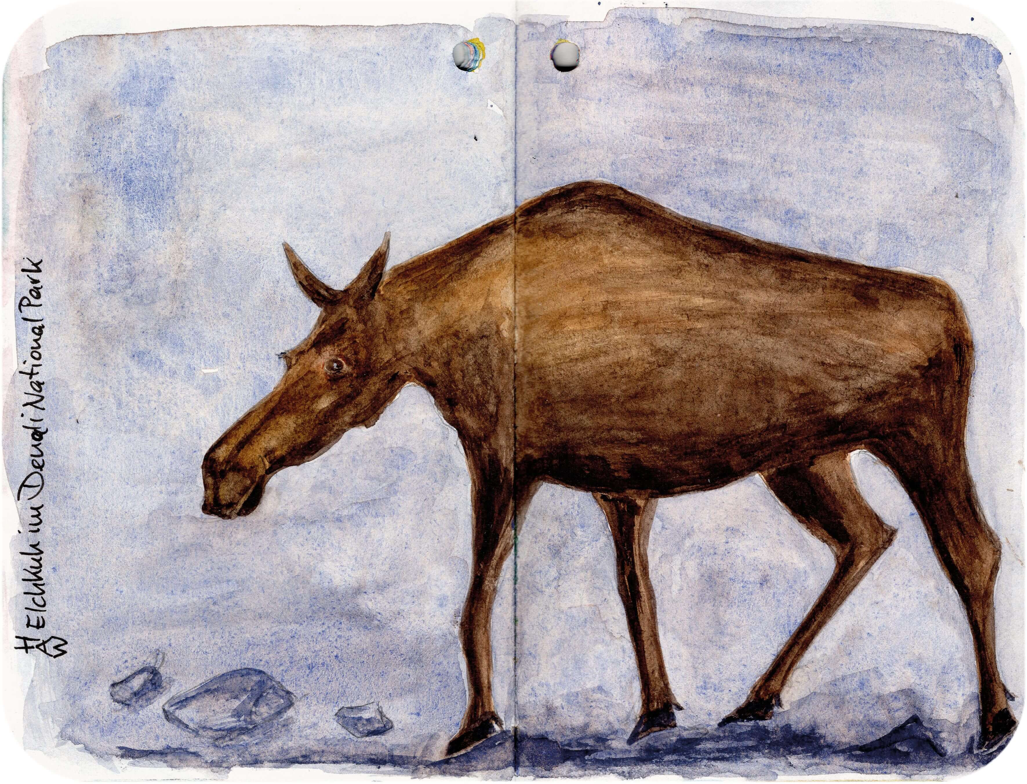 Titelbild von Sketchbook 00375