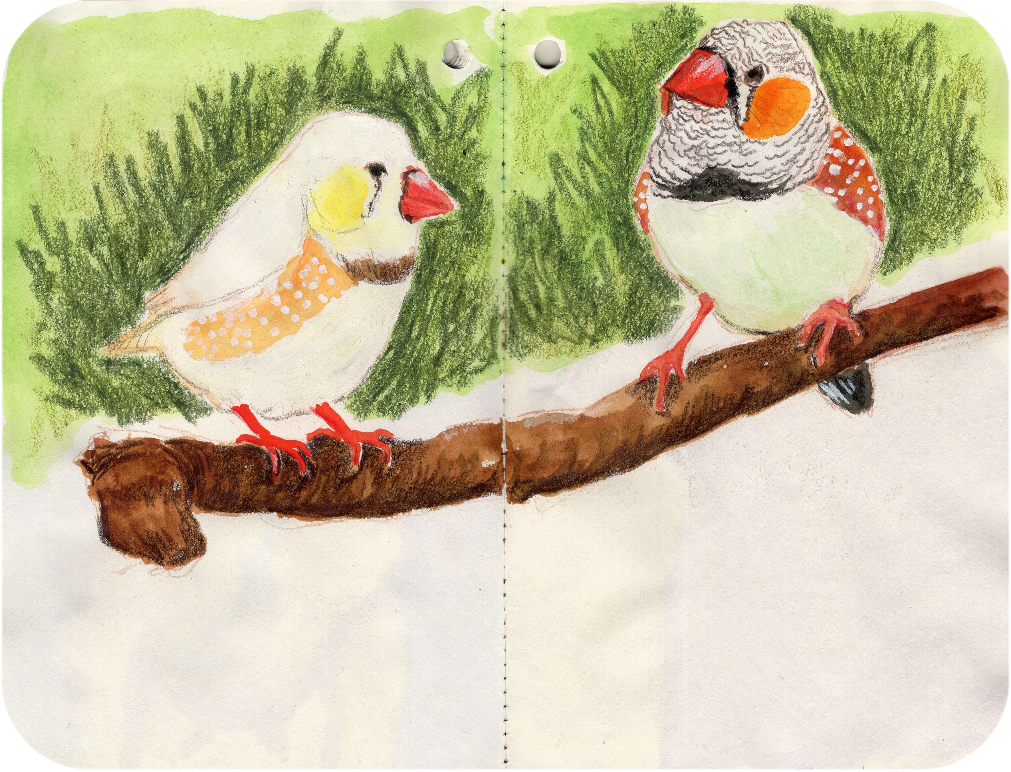 Titelbild von Sketchbook 00381