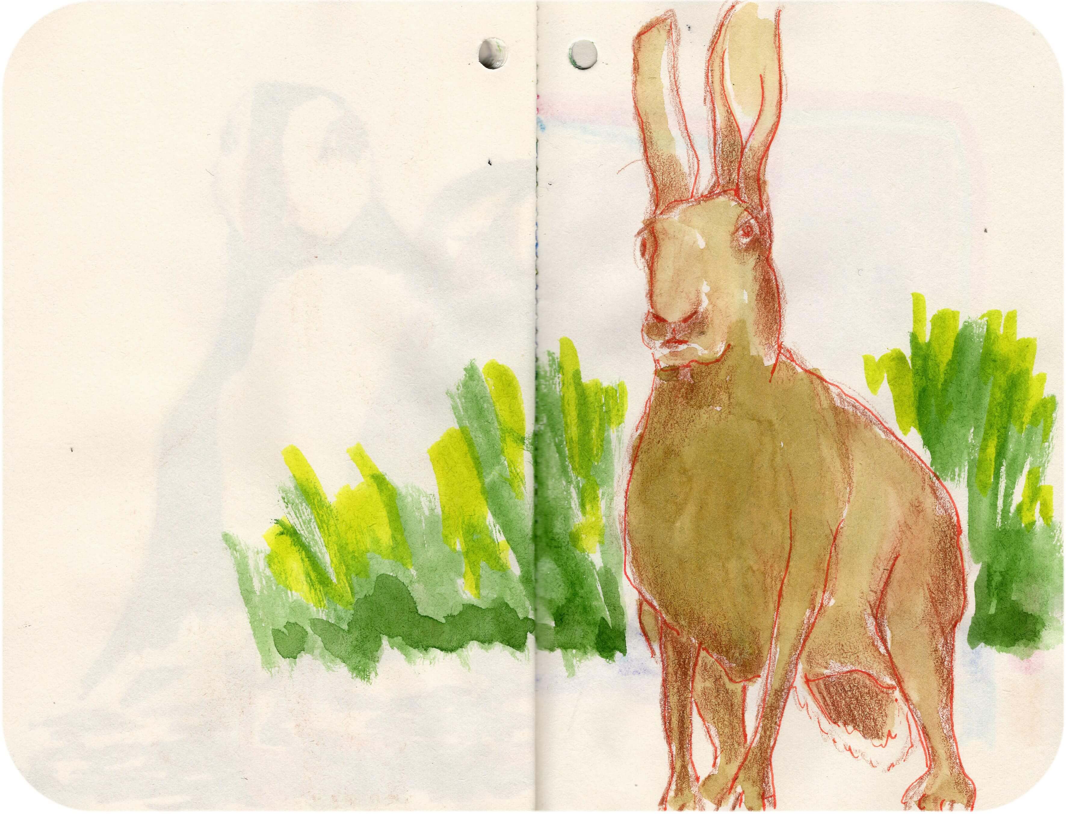 Titelbild von Sketchbook 00381