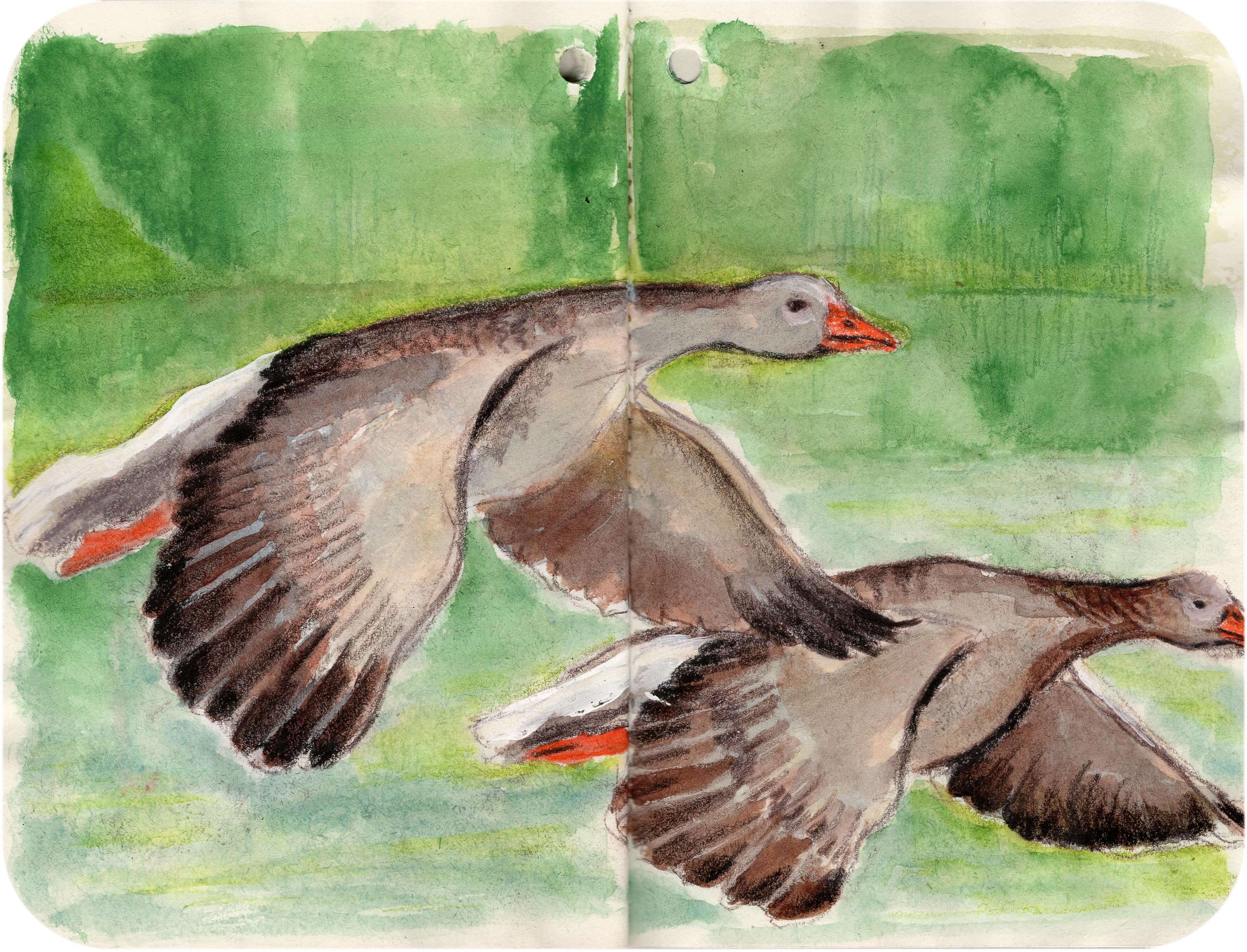 Titelbild von Sketchbook 00381