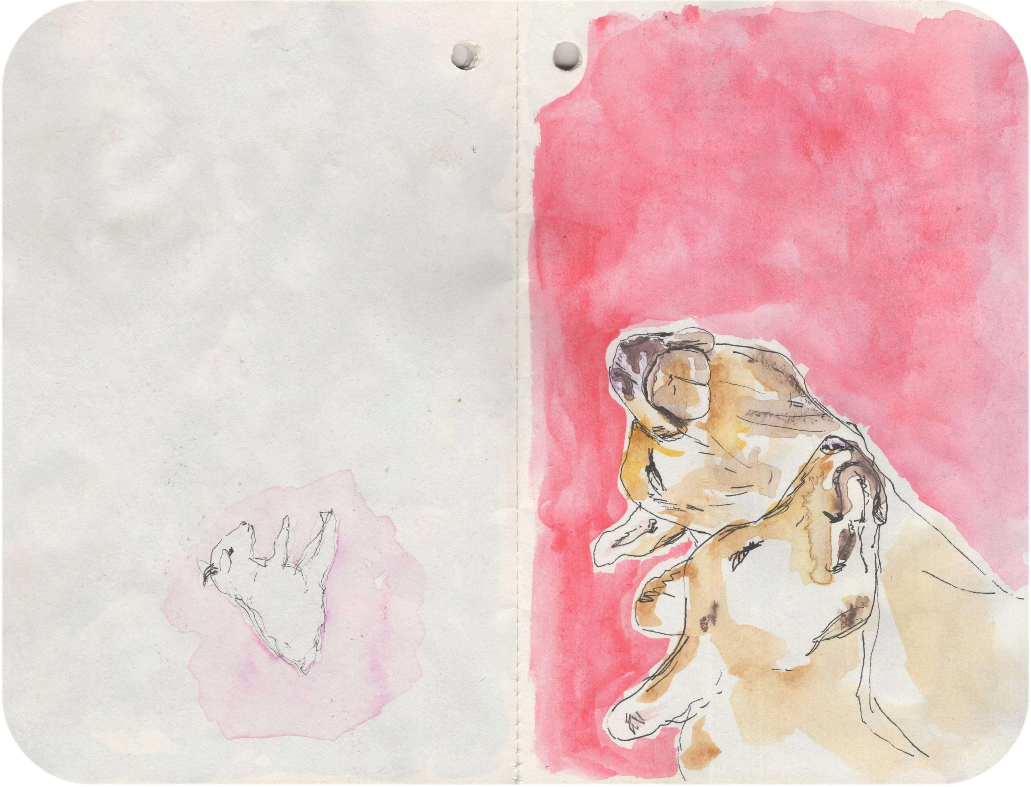 Titelbild von Sketchbook 00399