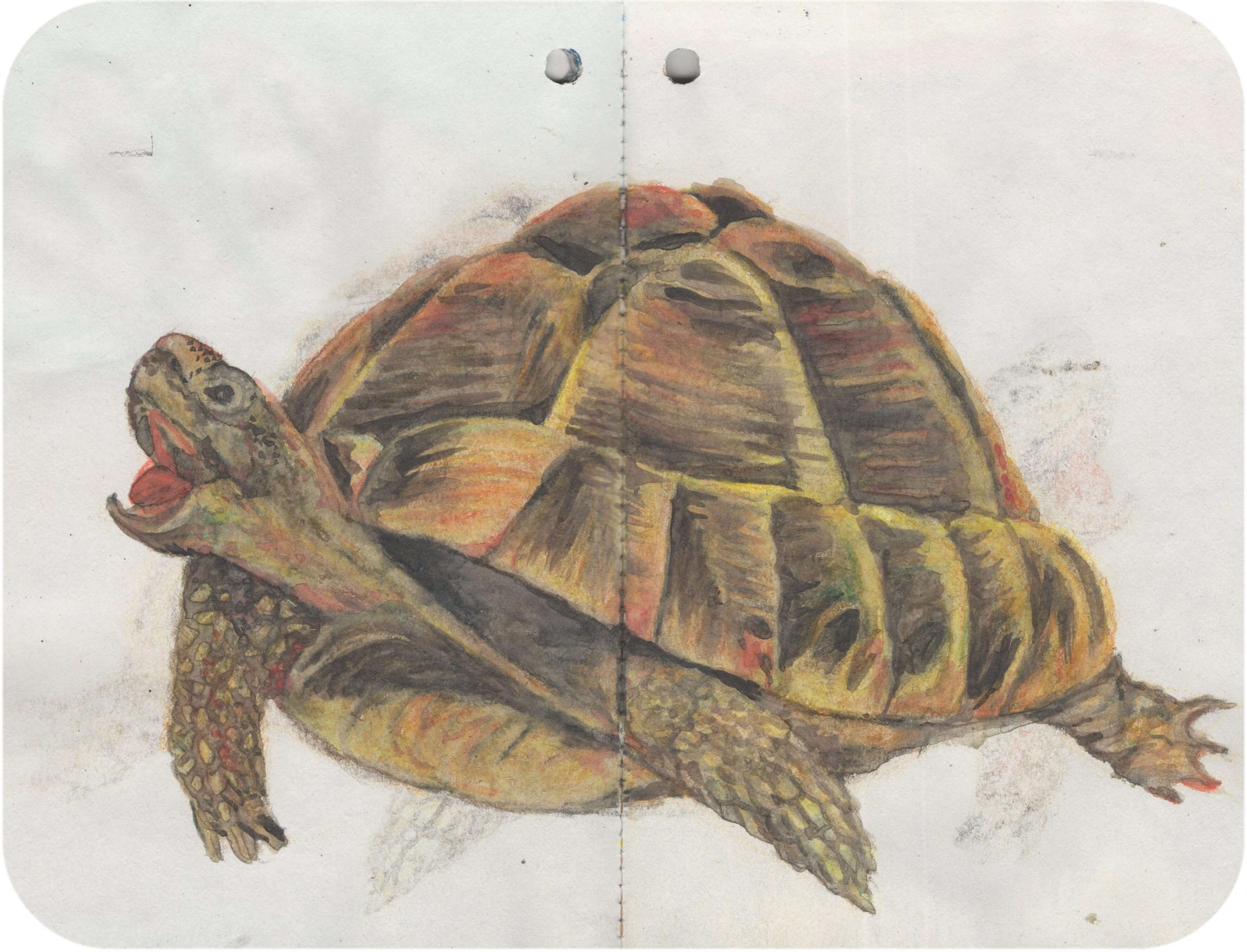 Titelbild von Sketchbook 00400