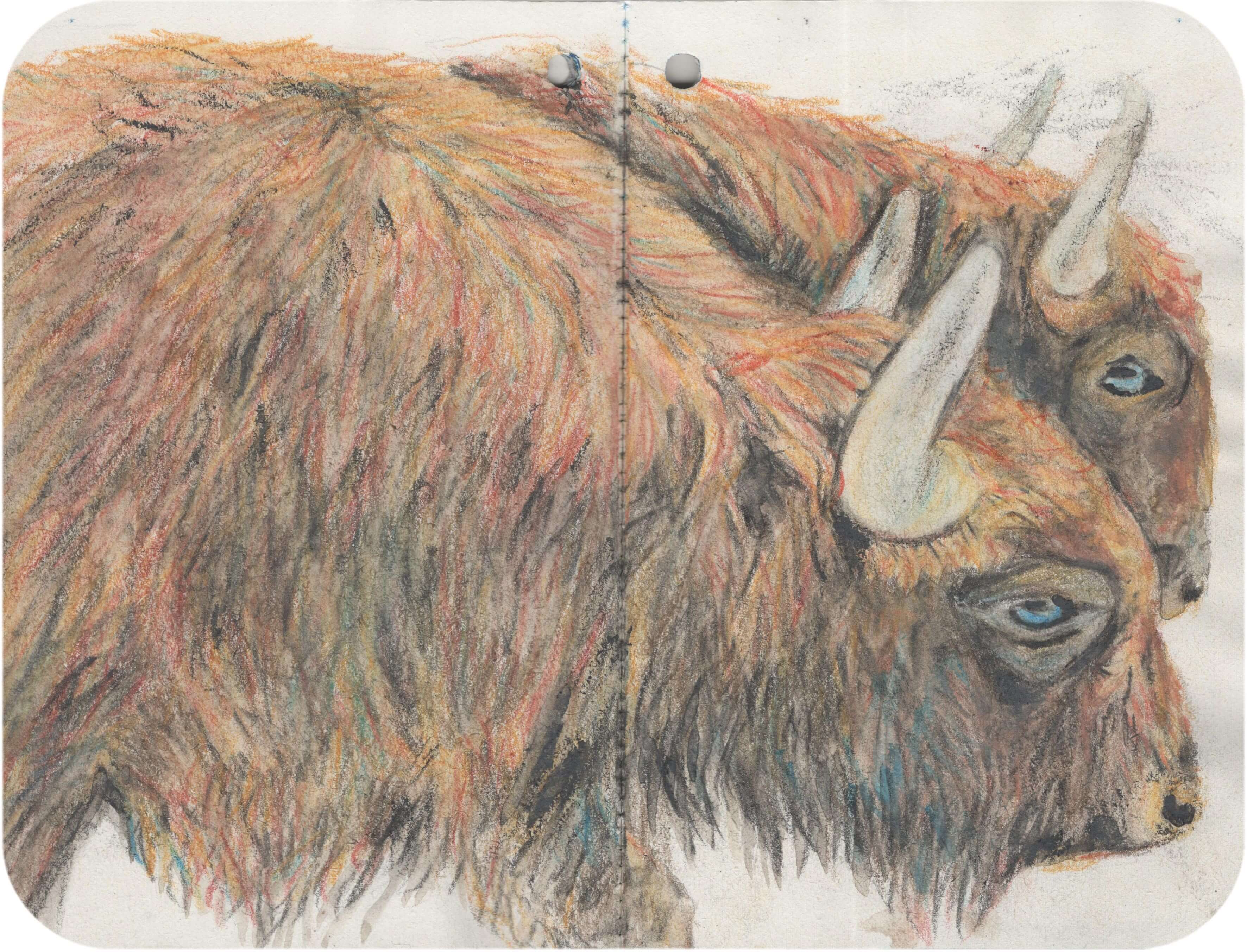 Titelbild von Sketchbook 00400