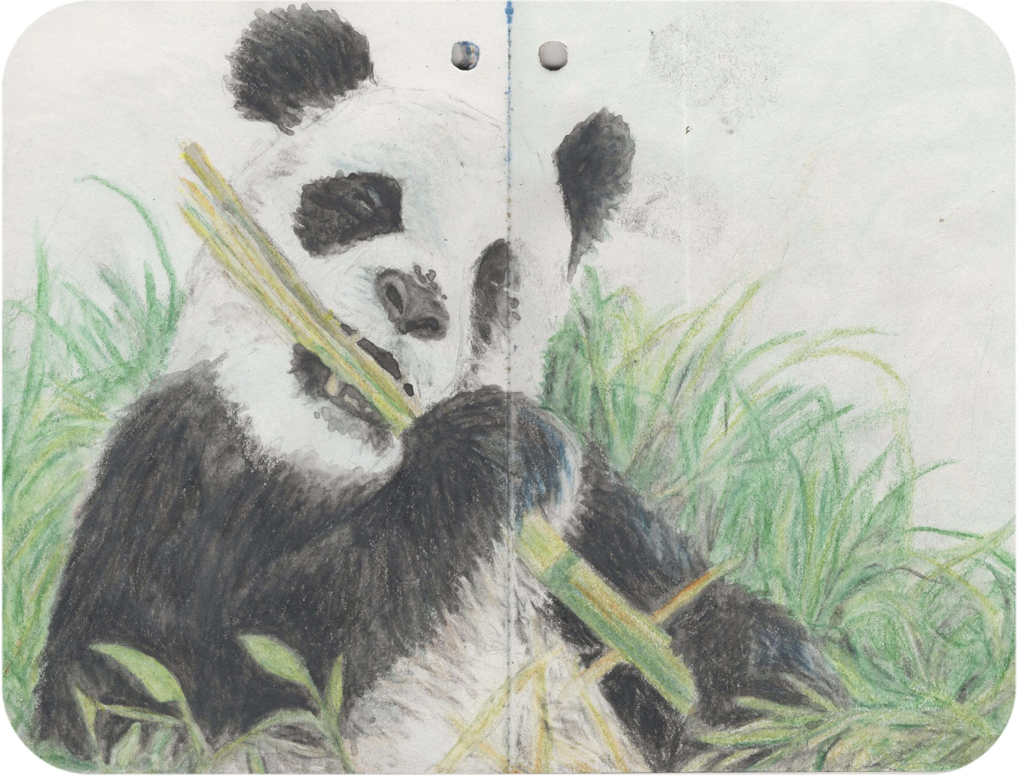 Titelbild von Sketchbook 00400