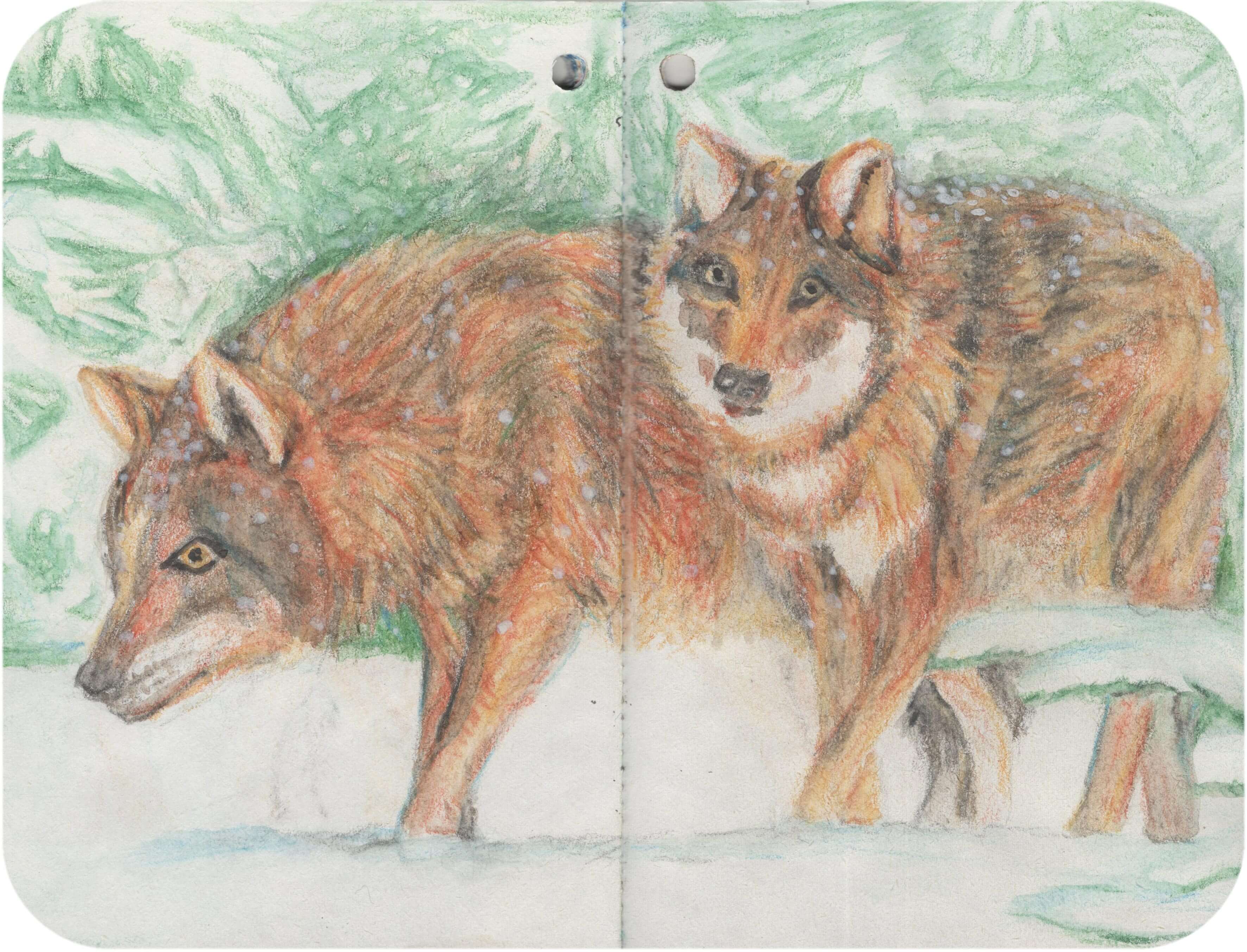 Titelbild von Sketchbook 00400