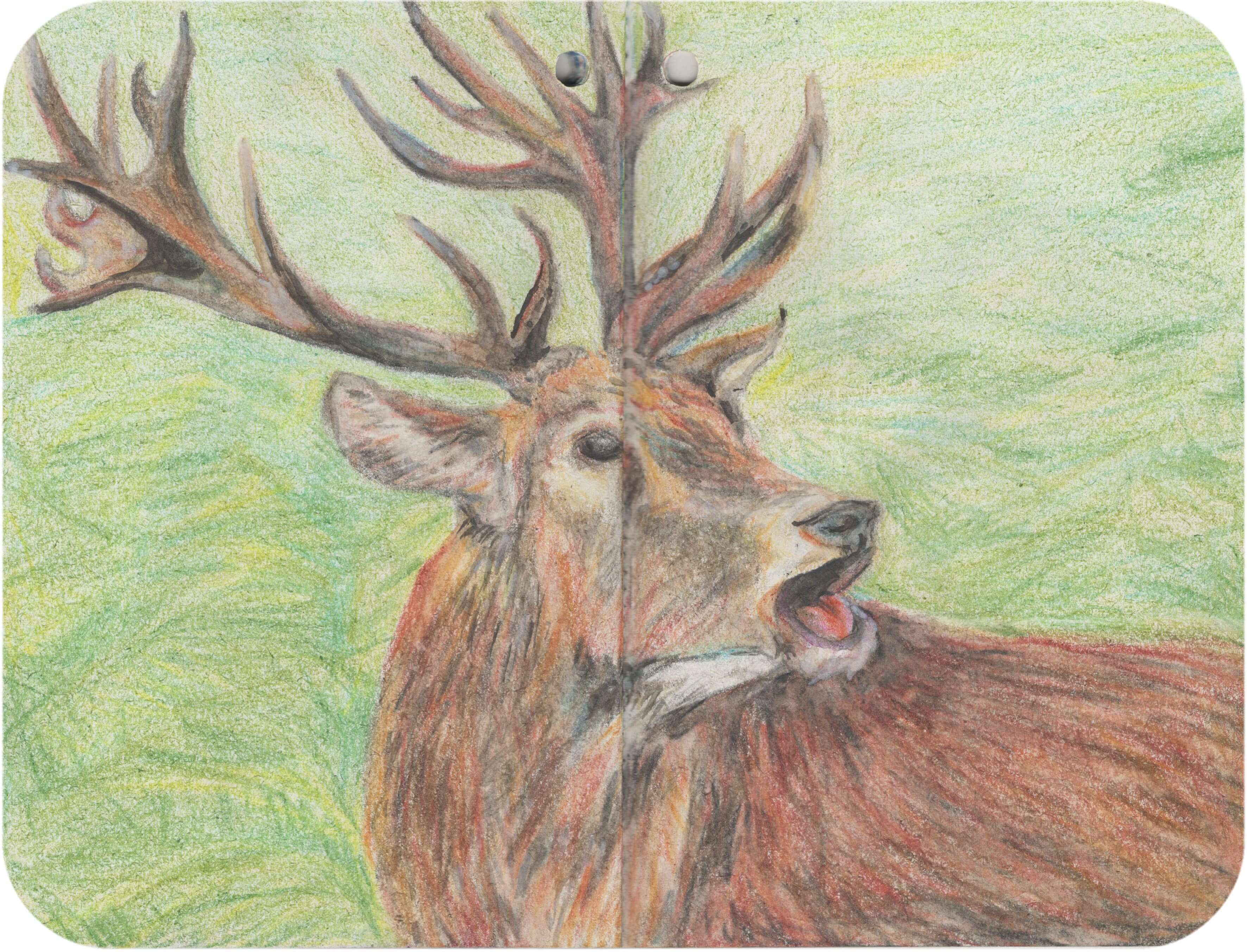 Titelbild von Sketchbook 00400