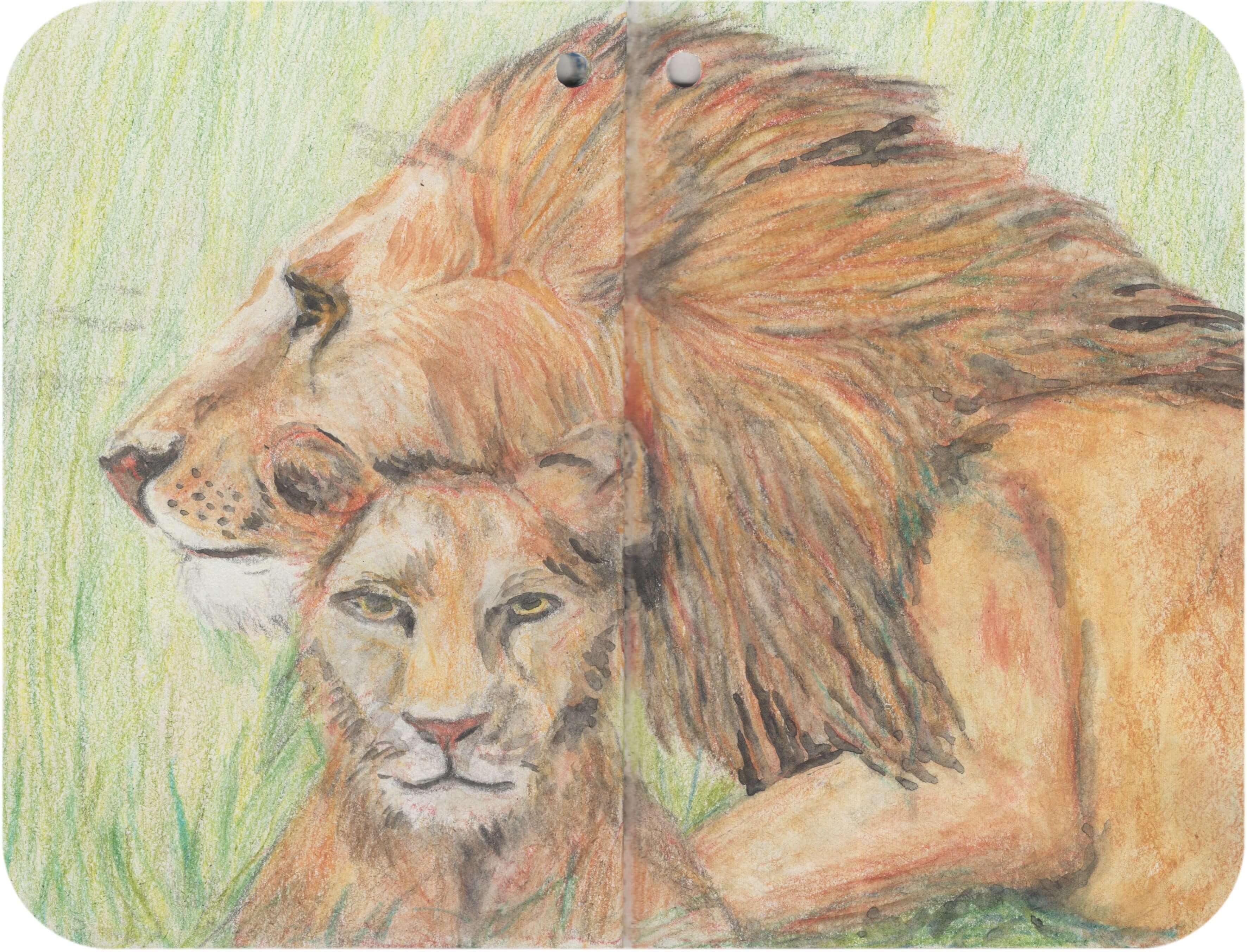 Titelbild von Sketchbook 00400